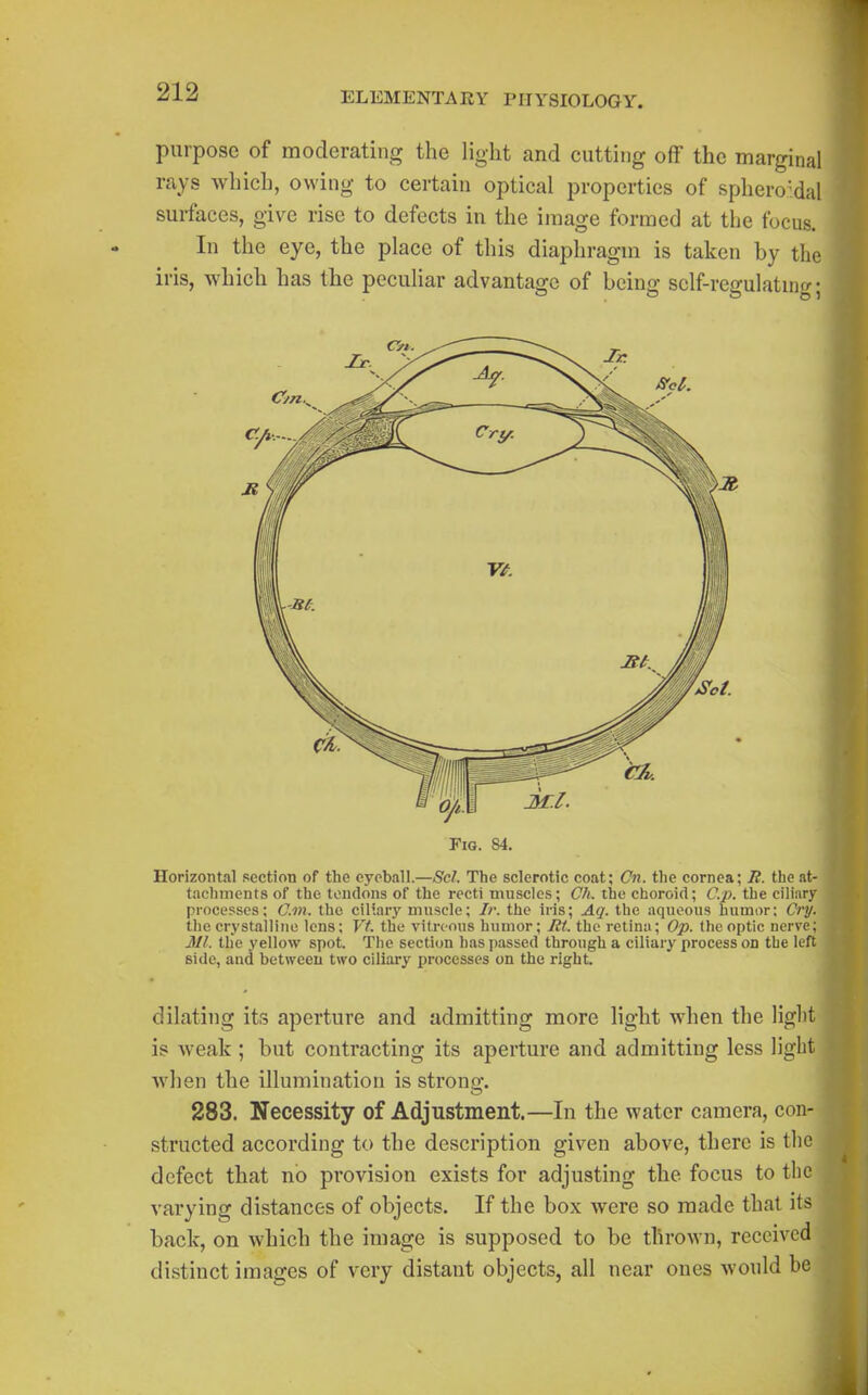 purpose of moderating the light and cutting off the marginal rays which, owing to certain optical properties of sphero'dal surfaces, give rise to defects in the image formed at the focus. In the eye, the place of this diaphragm is taken by the iris, which has the peculiar advantage of being sclf-regulatuig; Horizontal section of the eyeball.—Scl. The sclerotic coat; Cn. the cornea; B. the at- tachments of the tendons of the recti muscles; C/i. the choroid; C.p. the ciliary processes; Cm. the ciliary muscle; //'. the iris; Aq. the aqueous humor: Cry. the crystalline lens; Vt. the vitreous humor; Jit. the retina; Op. the optic nerve; III. the yellow spot. Tlie section lias [)assed through a ciliary process on the left side, and between two ciliary processes on the right dilating its aperture and admitting more light when the light is weak ; but contracting its aperture and admitting less light when the illumination is strong. 283. Necessity of Adjustment.—In the water camera, con- structed according to the description given above, there is tlic defect that no provision exists for adjusting the focus to the varying distances of objects. If the box were so made thai its back, on which the image is supposed to be thrown, received distinct images of very distant objects, all near ones would be