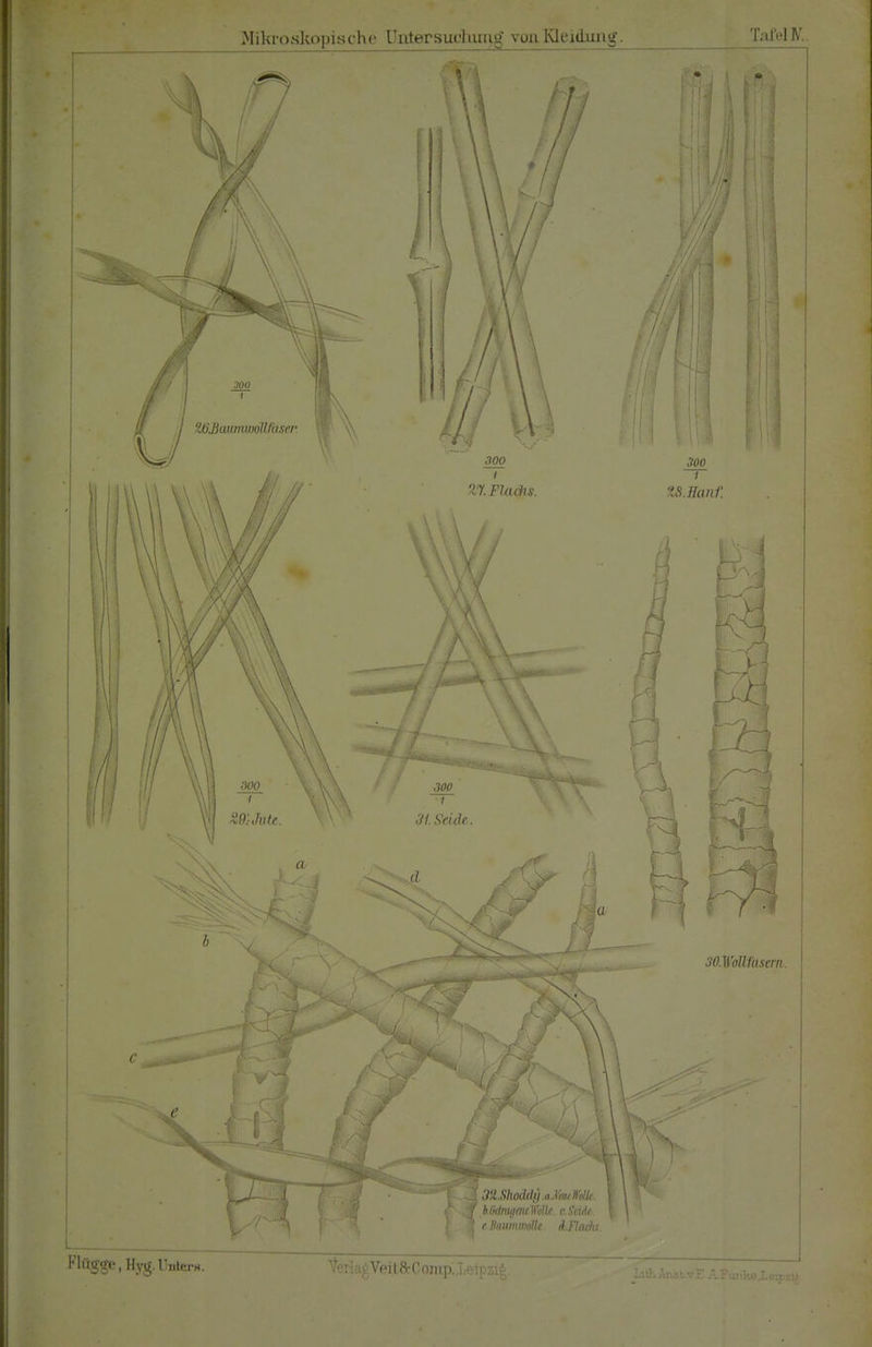 Mikroskopische Untersuchung von Kleidung. Tal'ßl IV. 7, 14 wo WßanmwoUthser \\ 000 W:Jvte. 1 300 1 M.Flachs. 300 ■1 3t Seide. 300 1 ZS.Hanf. MWoll fasern. Flügge, Hyg.Unter»«. f^A 32.Shod(ti).aJttuMr, •S3T bOdmgmtWk. c.Seiäe. t-ij tBmimmoüe. i.Fladis ferlaßVei t& C omp. Xeipzig