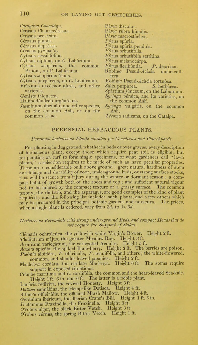 Caragdna Chamldgu. Cerasus Cliama;corasus. Cc'rasus prostrata. Cerasus puniila. Cerasus deprcssa. Cerasus pygniEC^a. Cytisus sessilifolius. Cytisus alpinus, on C. Laburnum. Cytisus icoparius, the common Broom, on C. Laburnum. Cytisus scoparius albus. Cytisus purpiireus, on C. Laburnum, l^raxinus excelsior aurea, and other varieties. Genfsta trfquetra. Halimodendron argenteum. Jasminum officinale,and other species, on the common Ash, or on the common Lilac. Pav?a discolor. Pa via rubra humilis. Pavifl macrostachya. Pyrus spuria, Pyrus spuria pendula. Pyrus arbutifolia. Pyrus arbutifolia ser6tina. i^yrus melanocarpa. Pyrus floribunda. P. deprcssa. Robinw Pseud-ylcacia umbraculi- fera. Robinia Pseud-Jcacia tortuosa. 5alix purpurea. iS. herbacea. iSpartium^/unceumjOn the Laburnum. Syringa persica, and its varieties, on the common Ash. Synnga vulgaris, on the common Ash. Tecoma radicans, on the Catalpa. PERENNIAL HERBACEOUS PLANTS. Peremiial herbaceous Plants adapted for Cemeteries and Churchyards. For planting in dug ground, whether in beds or over graves, every description of herbaceous plant, except those which require peat soil, is eligible ; but for planting on turf to form single specimens, or what gardeners call  lawn plants, a selection requires to be made of such as have peculiar properties. These are : considerable bulk above ground ; great natural hardiness of stem and foliage and durability of root; under-ground buds, or strong surface stocks, that will be secure from injury during the winter or dormant season ; a com- pact habit of growth both of the roots and top; and sufficient natural vigour not to be injured by the compact texture of a grassy surface. The common pEEony, the rhubarb, and the asparagus, are good examples of the kind of plant required ; and the following list includes such plants, and a few others which may be procured in the principal botanic gardens and nurseries. The prices, when a single plant is ordered, vary from St/, to Is. 6rf. Herbaceous Perennials with strong under-groimd Buds, and compact Heads that do not reguire the Supjiort of Stakes. Clematis ochroleuca, the yellowish white Virgin's Bower. Height 2 ft. Thalictrum majus, the greater Meadow Rue. Height 3 ft. .^conitum variegatum, the variegated Aconite. Height 5 ft. Act3d^?i spiciita, the spiked Bane-berry. Height 3 ft. The berries are poison. Pxonia albiflora, P. officinalis, P. tenuifolia, and others ; the white-flowered, common, and slender-leaved paeonies. Height 2 ft. Macleaya cordata, the cordate Macleaya. Height 6 ft. The stems require support in exposed situations. Crambe maritima and C. cordifolia, the common and the heart-leaved Sea-kale. Height 1 ft. 6 in. and G ft. The latter is a noble plant. Lun:iria rediviva, the revived Honesty. Height 3fc. Dattsca cannabina, the Hemp-hke Datisca. Height 4 ft. Ahhx'a officinalis, the officinal Marsh Mallow. Height 4. ft. Geranium ibericum, the Iberian Crane's Bill. Height 1 ft. C in. Dictiimnus Fraxinella, the Fraxinella. Height 3 ft. O'robus niger, the black Bitter Vetch. Height 3 ft. O'robus vernus, the spring Bitter Vetcii. Height 1 ft.