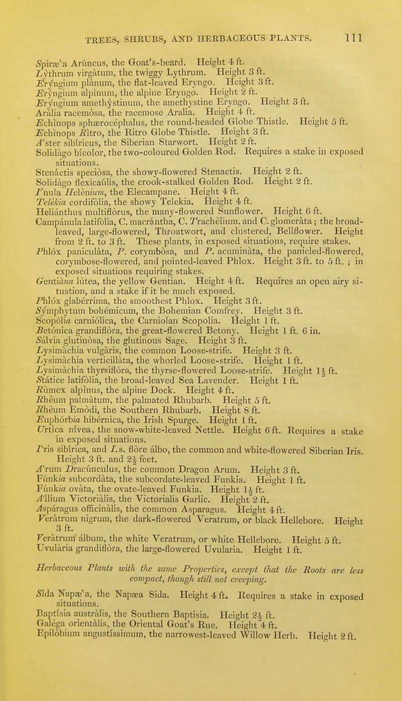 iSpira^a ArCincus, the Goat's-beard. Height 4 ft. Z,jthrum virgiitum, the twiggy Lythrum. Height 3 ft. ^rjngium ph\num, the flat-leaved Eryngo. Height 3 ft. J^ryiigium alpinum, the alpine Eryngo. Height 2 ft. jEryngium amethystinum, the amethystine Eryngo. Height 3 ft. Aralia racemosa, the racemose Aralia. Height 4 ft. JBchinops sphaerocephalus, the round-headed Globe Thistle. Height 5 ft. £chinops iiitro, the Ritro Globe Thistle. Height 3 ft. ^'ster sibiricus, the Siberian Starwort. Height 2 ft. Solidago bicolor, the two-coloured Golden Rod. Requires a stake in exposed situations. Stenactis speciosa, the showy-flowered Stenactis. Height 2 ft. Solidago flexicaulis, the crook-stalked Golden Rod. Height 2 ft. /'nula Helenmm, the Elecampane. Height 4 ft. TeWcia cordifolia, the showy Telekia. Height 4 ft. Helianthus multifldrus, the many-flowered Sunflower. Height 6 ft. Campanula latifolia, C. macrantha, C. Trachelium. and C.glomerata; the broad- leaved, large-flowered, Throatwort, and clustered, Bellflower. Height from 2 ft. to 3 ft. These plants, in exposed situations, requu'e stakes. Phlox paniculata, P. corymbosa, and P. acuminata, the panicled-flowered, corymbose-flowered, and pointed-leaved Phlox. Height 3 ft. to 5 ft. ; in exposed situations requiring stakes. Geniiana lutea, the yellow Gentian. Height 4 ft. Requires an open airy si- tuation, and a stake if it be much exposed. Phlox glaberrima, the smoothest Phlox. Height 3 ft. (Symphytum bohemicum, the Bohemian Comfrey. Height 3 ft. Scopolia carniolica, the Carniolan Scopolia. Height 1 ft. ^etonica grandiflora, the great-flowered Betony. Height 1 ft. 6 in. Salvia glutinosa, the glutinous Sage. Height 3 ft. iysimachia vulgaris, the common Loose-strife. Height 3 ft. iysimachia verticillata, the whorled Loose-strife. Height 1 ft. Z/ysimachia thyrsiflora, the thyrse-flowered Loose-strife. Height li ft. iStatice latifolia, the broad-leaved Sea Lavender. Height 1 ft. iZumex alpinus, the alpine Dock. Height 4 ft. Rheum palmatum, the palmated Rhubarb. Height 5 ft. ^heum Emodi, the Southern Rhubarb. Height 8 ft. ^^uphorbifl hibernica, the Irish Spurge. Height 1 ft. CTrti ca nivea, the snow-white-leaved ]^ettle. Height 6 ft. Requires a stake in exposed situations. Pris sibirica, and /. s. flore albo, the common and white-flowered Siberian Iris. Height 3 ft. and 2^ feet. A\yim Dracunculus, the common Dragon Arum. Height 3 ft. Funk/a subcordata, the subcordate-leaved Funkia. Height 1 ft. Funki« ovata, the ovate-leaved Funkia. Height Hft. yl'llium Victorialis, the Victorialis Garlic, Height's ft. j^sparagus officinalis, the common Asparagus. Height 4 ft. Feratrum nigrum, the dark-flowered Veratrum, or black Hellebore. Heidit 3 ft. ^ Feratrum album, the white Veratrum, or white Hellebore. Height 5 ft. Uvularia grandiflora, the large-flowered Uvularia. Height 1 ft. Herbaceous Plants with the same Properties, except that the Roots are less compact, though still not creeping. 5ida Napae^a, the Napaea Sida. Height 4 ft. Requires a stake in exposed situations. Baptlsia australis, the Southern Baptisia. Height 2h ft. Galcga orientillis, the Oriental Goat's Rue. IIeight'4 ft. Epilobium angustissimum, the narrowest-leaved Willow Herb. Height 2 ft.