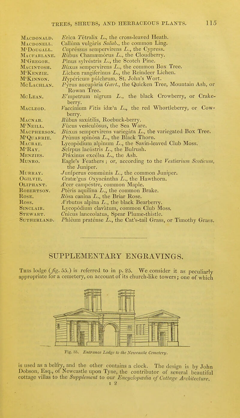 Macdonald. Evica Tetralix L., the cross-leaved Heath. Macdonell. Calhma vulgaris Salisb., the common Ling. M'DouGALL. Cupressus senipervh-ens L., the Cypress. Macfarlane. 7?ubus Chama^m6rus L., the Cloudberry. M'Gregor. Pinus sylvestris L., the Scotcli Pine. Macintosh. 5uxus serapervu'ens L,, the common Box Tree. M'Kenzie. J^ichen rangiferinus L., the Reindeer Lichen. M'KiNNON. fi'ypericum pulchrum, St. John's Wort. McLachlan. Pyrus aucuparia Gai t., the Quicken Tree, Mountain Ash, or Rowan Tree. McLean. JS'mpetrum nigrum L., the black Crowberry, or Crake- berry. Macleod. Faccinium Fitis idte^a i., the red Wliortleberry, or Cow- berry. Macnab. iZubus saxatilis, Roebuck-berry. M'Neill. Fxxcwb vesiculosus, the Sea Ware. Macpherson. ^uxus sempervu'ens variegata h., the variegated Box Tree. M'Quarrie. Prunus spinosa i., the Black Thorn. IVLvcrae. Lycopodium alpinum i., the Savin-leaved Club Moss. M'Ray. iScirpus lacustris h., the Bulrush. Menzies. i^raxinus excelsa L., the Ash. MuNRO. Eagle's Feathers ; or, according to the Vestiarum Scoticum, the Juniper. Murray. J^uniperus communis L., the common Juniper. Ogilvie. Cratas^gus Oxyacantha L., the Hawthorn. Oliphant. ^^cer campestre, common Maple. Robertson. Pteris aquilina L., the common Brake. Rose. Posa canina L., the Briar Rose. Ross. yl'rbutus alpina L., the black Bearberry. Sinclair. Lycopodium clavatum, common Club Moss. Stewart. Cnicus lanceolatus, Spear Plume-thistle. Sutherland. Phleum pratense L., the Cat's-tail Grass, or Timothy Grass. SUPPLEMENTAEY ENGRAVINGS. This lodge (fig. 55.) is referred to in p. 25. We consider it as peculiarly appropriate for a cemetery, on account of its church-like towers; one of which Fig. S5. Entrance Lodge to the Newcastle Cemetert/. is used as a belfry, and the other contains a clock. The design is by John Dobson, Esq., of Newcastle upon Tyne, the contributor of several beautiful cottage villas to the Supplement to our Encyclopcsdia of Cottage Architecture I 2