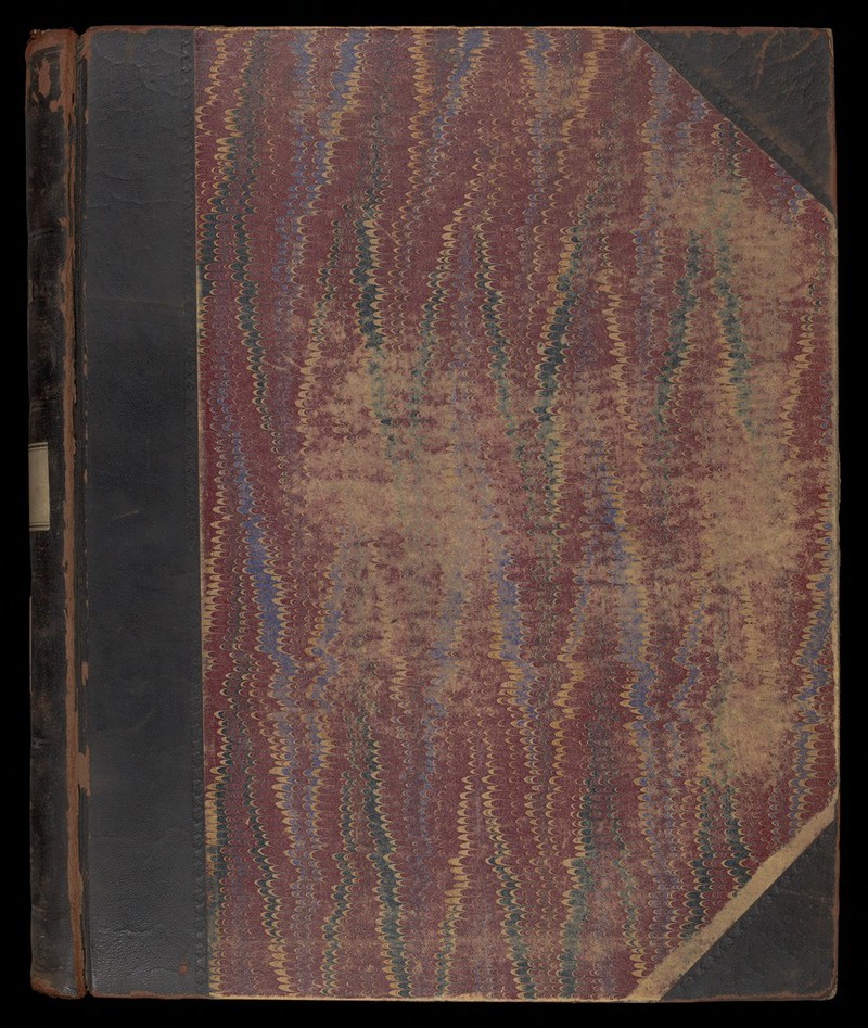 No text description is available for this image