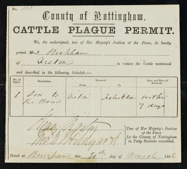 digitised image 1