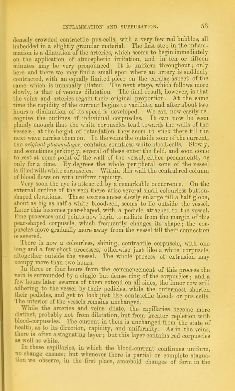 densely crowded contractile pus-cells, with a very few red bubbles, all imbedded in a slightly granular material. The first step in the inflam- mation is a dilatation of the arteries, which seems to begin immediately on the application of atmospheric irritation, and in ten or fifteen minutes may be very pronounced. It is uniform throughout; only here and there we may find a small spot where an artery is suddenly contracted, with an equally limited piece on the cardiac aspect of the same which is unusually dilated. The next stage, which follows more slowly, is that of venous dilatation. The final result, however, is that the veius aud arteries regain their original proportion. At the same time the rapidity of the current begins to vacillate, and after about two hours a diminution of its speed is developed. We can now easily re- cognise the outlines of individual corpuscles. It can now be seen plainly enough that the white corpuscles tend towards the walls of the vessels; at the height of retardation they seem to stick there till the next wave carries them on. In the veins the outside zone of the current, the original plasma-layer, contains countless white blood-cells. Slowly, and sometimes jerkingly, several of these enter the field, and soon come to rest at some point of the wall of the vessel, either permanently or only for a time. By degrees the whole peripheral zone of the vessel is filled with white corpuscles. Within this wall the central red column of blood flows on with uniform rapidity. Very soon the eye is attracted by a remarkable occurrence. On the external outline of the vein there arise several small colourless button- shaped elevations. These excrescences slowly enlarge till a half globe, about as big as half a white blood-cell, seems to lie outside the vessel. Later this becomes pear-shaped, with a pedicle attached to the vessel. Fine processes and points now begin to radiate from the margin of this pear-shaped corpuscle, which frequently changes its shape; the cor- puscles move gradually more away from the vessel till their connection is severed. There is now a colourless, shining, contractile corpuscle, with one long and a few short processes, otherwise just like a white corpuscle, altogether outside the vessel. The whole process of extrusion may occupy more than two hours. In three or four hours from the commencement of this process the vein is surrounded by a single but dense ring of the corpuscles ; and a few hours later swarms of them extend on all sides, the inner row still adhering to the vessel by their pedicles, while the outermost shorten their pedicles, and get to look just like contractile blood- or pus-cells. The interior of the vessels remains unchanged. While the arteries and veins dilate, the capillaries become more distinct, probably not from dilatation, but from greater repletion with blood-corpuscles. The current in them is unchanged from the state of health, as to its direction, rapidity, and uniformity. As in the veins, there is often a stagnating layer ; but this layer contains red corpuscles as well as white. In these capillaries, in which the blood-current continues uniform, no change ensues; but whenever there is partial or complete stagna- tion we observe, in the first place, amoeboid changes of form in the