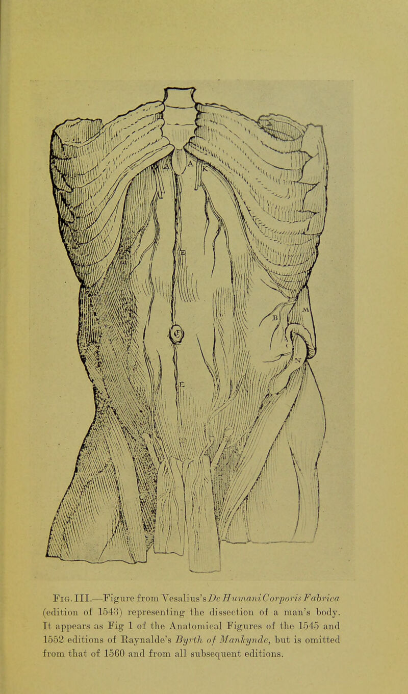 Fig. III.—Figure from Vesaliiis's Dc Humani Corporis Fahrica (edition of 1543) representing the dissection of a man's body. It appears as Fig 1 of the Anatomical Figiires of the 1545 and 1552 editions of Raynalde's Byrth of Mankynde, but is omitted from that of 1560 and from all subsequent editions.