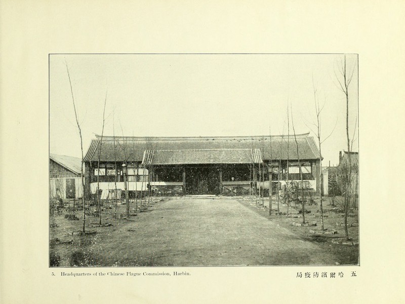 Headquarters of the Chinese Plague Commission, Harb 局疫防m m哈五