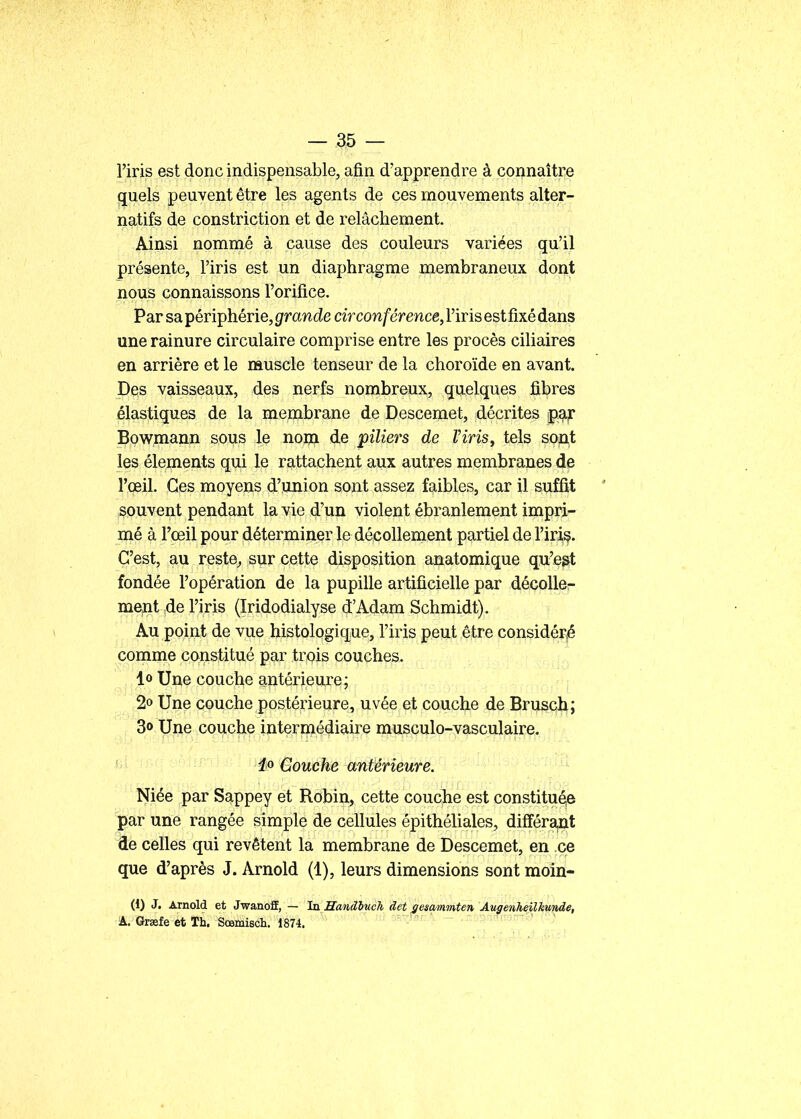 l'iris est donc indispensable, afin d'apprendre à connaître quels peuvent être les agents de ces mouvements alter- natifs de constriction et de relâchement. Ainsi nommé à cause des couleurs variées qu'il présente, l'iris est un diaphragme membraneux dont nous connaissons l'orifice. Par sa périphérie, grande circonférence, l'iris est fixé dans une rainure circulaire comprise entre les procès ciliaires en arrière et le muscle tenseur de la choroïde en avant. Des vaisseaux, des nerfs nombreux, quelques fibres élastiques de la membrane de Descemet, décrites Bowmann sous le nom de piliers de Viris y tels sorii,t les éléments qui le rattachent aux autres membranes de l'œil. Ces moyens d'union sont assez faibles, car il suffit souvent pendant la vie d'un violent ébranlement impri- mé à l'œil pour déterminer le décollement partiel de l'iris. C'est, au reste^ sur cette disposition anatomique qu'egt fondée l'opération de la pupille artificielle par décolle- ment de l'iris (Iridodialyse d'Adam Schmidt). \ Au point de vue histologique, l'iris peut être considéré comme constitué par trois couches. lo Une couche antérieure; 2o Une couche postérieure, uvée et couche de Brusqli; 30 Une couche intermédiaire musculo-vasculaire. ' Couche antérieure. Niée par Sappey et Robin, cette couche est constitué^e par une rangée simple de cellules épithéliales, différajût de celles qui revêtent la membrane de Descemet, en ce que d'après J. Arnold (1), leurs dimensions sont moin- (1) J. Arnold et JwanofE, — Un Handbuch det jgesqmmten ATigenheilkunde, A. Grsefe et Th. Sœmisch. 1874.