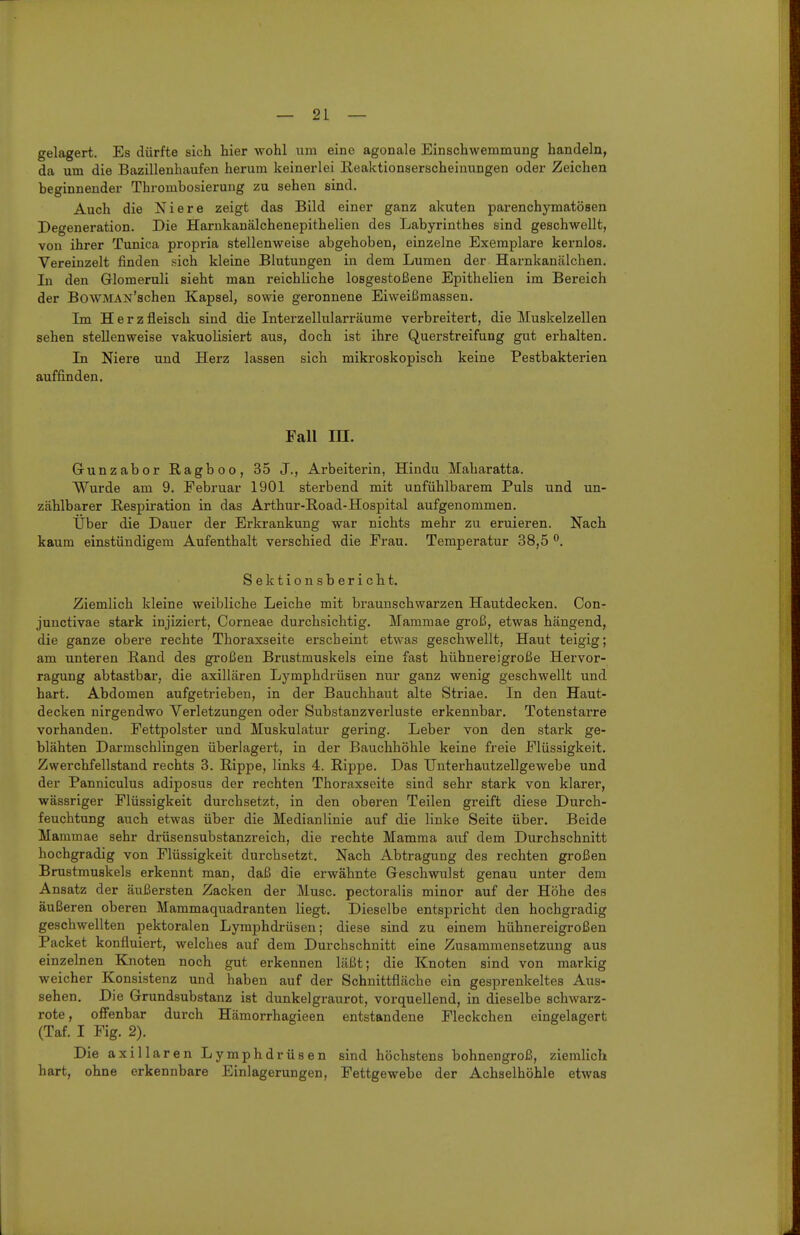 gelagert. Es dürfte sich hier wohl um eine agonale Einschwemmung handeln, da um die Bazillenhaufen herum keinerlei ßeaktionserscheinungen oder Zeichen beginnender Thrombosierung zu sehen sind. Auch die Niere zeigt das Bild einer ganz akuten parenchymatösen Degeneration. Die Harnkanälchenepithelien des Labyrinthes sind geschwellt, von ihrer Tunica propria stellenweise abgehoben, einzelne Exemplare kernlos. Vereinzelt finden sich kleine Blutungen in dem Lumen der Harnkanälchen. In den Glomeruli sieht man reichliche losgestoßene Epithelien im Bereich der BowMAN'schen Kapsel, sowie geronnene Eiweißmassen. Im Herz fleisch sind die Interzellularräume verbreitert, die Muskelzellen sehen stellenweise vakuolisiert aus, doch ist ihre Querstreifung gut erhalten. In Niere und Herz lassen sich mikroskopisch keine Pestbakterien auffinden. Fall m. Grunzabor Ragboo, 35 J., Arbeiterin, Hindu Maharatta. Wurde am 9. Februar 1901 sterbend mit unfühlbarem Puls und un- zählbarer Respiration in das Arthur-Road-Hospital aufgenommen. Über die Dauer der Erkrankung war nichts mehr zu eruieren. Nach kaum einstündigem Aufenthalt verschied die Frau. Temperatur 38,5 ^. Sektionsbericht. Ziemlich kleine weibliche Leiche mit braunschwarzen Hautdecken. Con- junctivae stark injiziert, Corneae durchsichtig. Mammae groß, etwas hängend, die ganze obere rechte Thoraxseite erscheint etwas geschwellt. Haut teigig; am unteren Rand des großen Brustmuskels eine fast hühnereigroße Hervor- ragung abtastbar, die axillären Lymphdrüsen nur ganz wenig geschwellt und hart. Abdomen aufgetrieben, in der Bauchhaut alte Striae. In den Haut- decken nirgendwo Verletzungen oder Substanzverluste erkennbar. Totenstarre vorhanden. Fettpolster und Muskulatur gering. Leber von den stark ge- blähten Darmschlingen überlagert, in der Bauchhöhle keine freie Flüssigkeit. Zwerchfellstand rechts 3. Rippe, links 4. Rippe. Das Unterhautzellgewebe und der Panniculus adiposus der rechten Thoraxseite sind sehr stark von klarer, wässriger Flüssigkeit durchsetzt, in den oberen Teilen greift diese Durch- feuchtung auch etwas über die Medianlinie auf die linke Seite über. Beide Mammae sehr drüsensubstanzreich, die rechte Mamma auf dem Durchschnitt hochgradig von Flüssigkeit durchsetzt. Nach Abtragung des rechten großen Brustmuskels erkennt man, daß die erwähnte Geschwulst genau unter dem Ansatz der äußersten Zacken der Muse, pectoralis minor auf der Höhe des äußeren oberen Mammaquadranten liegt. Dieselbe entspricht den hochgradig geschwellten pektoralen Lymphdrüsen; diese sind zu einem hühnereigroßen Packet konfluiert, welches auf dem Durchschnitt eine Zusammensetzung aus einzelnen Knoten noch gut erkennen läßt; die Knoten sind von markig weicher Konsistenz und haben auf der Schnittfläche ein gesprenkeltes Aus- sehen. Die Grundsubstanz ist dunkel graurot, vorquellend, in dieselbe schwarz- rote , offenbar durch Hämorrhagieen entstandene Fleckchen eingelagert (Taf. I Fig. 2). Die axillaren Lymphdrüsen sind höchstens bohnengroß, ziemlich hart, ohne erkennbare Einlagerungen, Fettgewebe der Achselhöhle etwas