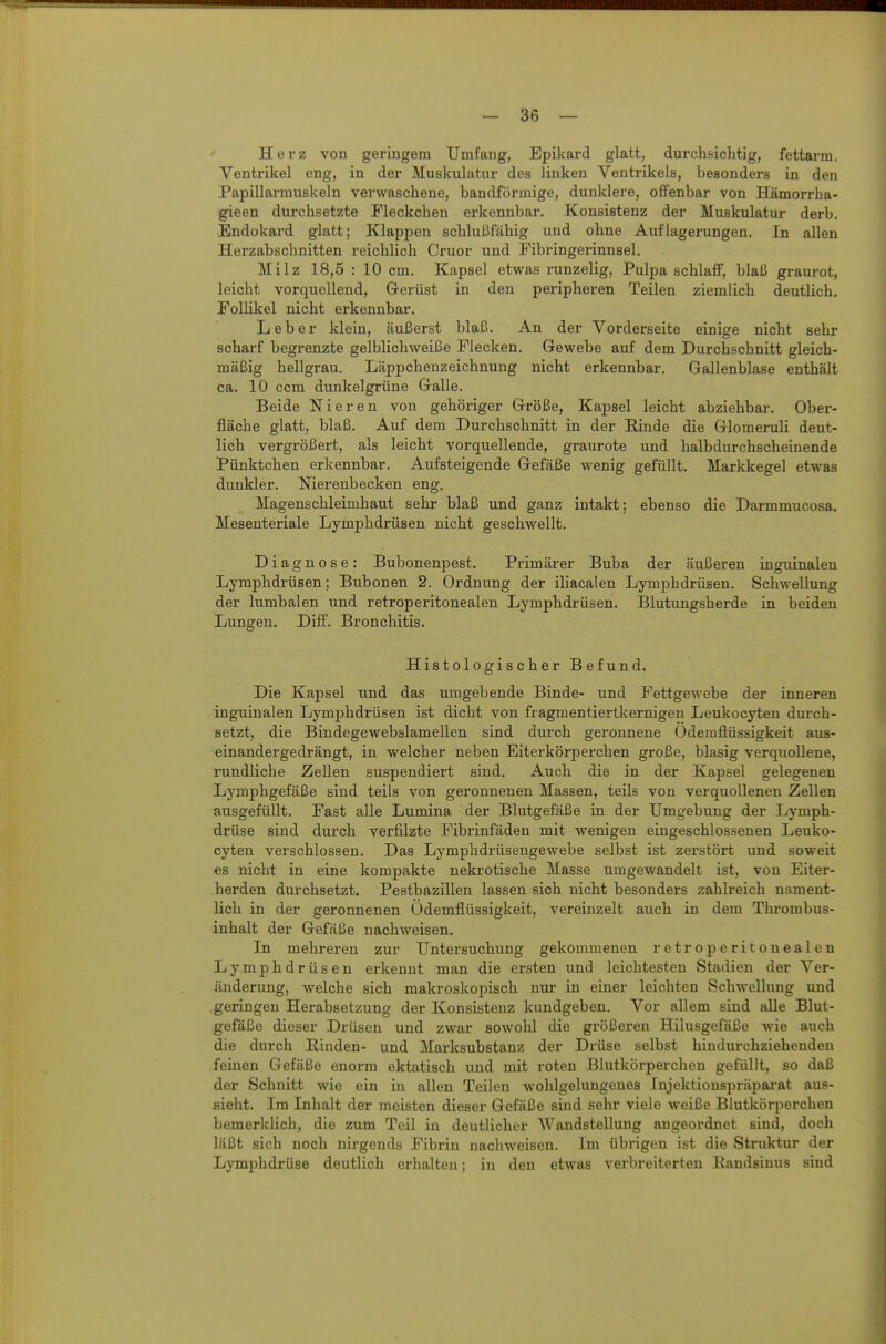 Herz von geringem Umfang, Epikard glatt, durchsichtig, fettarm. Ventrikel eng, in der Muskulatur des linken Ventrikels, besonders in den Papillarmuskeln verwaschene, bandförmige, dunklere, offenbar von Hämorrha- gieen durchsetzte Fleckchen erkennbar. Konsistenz der Muskulatur derb. Endokard glatt; Klappen schlußfähig und ohne Auflagerungen. In allen Herzabschnitten reichlich Cruor und Fibringerinnsel. Milz 18,5 : 10 cm. Kapsel etwas runzelig, Pulpa schlafif, blaß graurot, leicht vorquellend, Gerüst in den peripheren Teilen ziemlich deutlich, Follikel nicht erkennbar. Leber klein, äußerst blaß. An der Vorderseite einige nicht sehr scharf begrenzte gelblichweiße Flecken. Gewebe auf dem Durchschnitt gleich- mäßig hellgrau. Läppchenzeichnung nicht erkennbar. Gallenblase enthält ca. 10 ccm dunkelgrüne Galle. Beide Nieren von gehöriger Größe, Kapsel leicht abziehbar. Ober- fläche glatt, blaß. Auf dem Durchschnitt in der Rinde die Glomeruli deut- lich vergrößert, als leicht vorquellende, graurote und halbdurchscheinende Pünktchen erkennbar. Aufsteigende Gefäße wenig gefüllt. Markkegel etwas dunkler. Nierenbecken eng. Magenschleimhaut sehr blaß und ganz intakt; ebenso die Darmmucosa. Mesenteriale Lymphdrüsen nicht geschwellt. Diagnose: Bubonenpest. Primärer Euba der äußeren inguinalen Lymphdrüsen; Bubonen 2. Ordnung der iliacalen Lymphdrüsen. Schwellung der lumbalen und retroperitonealen Lymphdrüsen. Blutungsherde in beiden Lungen. Diff. Bronchitis. Histologischer Befund. Die Kapsel und das umgebende Binde- und Fettgewebe der inneren inguinalen Lymphdrüsen ist dicht von fragmentiertkernigen Leukocyten durch- setzt, die Bindegewebslamellen sind durch geronnene Oderaflüssigkeit aus- einandergedrängt, in welcher neben Eiterkörperchen große, blasig verquollene, rundliche Zellen suspendiert sind. Auch die in der Kapsel gelegenen Lymphgefäße sind teils von geronnenen Massen, teils von verquollenen Zellen ausgefüllt. Fast alle Lumina der Blutgefäße in der Umgebung der Lymph- drüse sind durch verfilzte Fibrinfäden mit wenigen eingeschlossenen Leuko- cyten verschlossen. Das Lymphdrüsengewebe selbst ist zerstört und soweit es nicht in eine kompakte nekrotische Masse umgewandelt ist, von Eiter- herden durchsetzt. Pestbazillen lassen sich nicht besonders zahlreich nament- lich in der geronnenen Odemflüssigkeit, vereinzelt auch in dem Thrombus- inhalt der Gefäße nachweisen. In mehreren zur Untersuchung gekommenen retroperitonealen Lymphdrüsen erkennt man die ersten und leichtesten Stadien der Ver- änderung, welche sich makroskopisch nur in einer leichten Schwellung und geringen Herabsetzung der Konsistenz kundgeben. Vor allem sind alle Blut- gefäße dieser Drüsen und zwar sowohl die größereu Hilusgefäße wie auch die durch Rinden- und Marksubstanz der Drüse selbst hindurchziehenden feinen Gefäße enorm ektatisch und mit roten Blutkörperchen gefüllt, so daß der Schnitt wie ein in allen Teilen wohlgelungenes Injektionspräparat aus- sieht. Im Inhalt der meisten dieser Gefäße sind sehr viele weiße Blutkörperchen bemerklich, die zum Teil in deutlicher Wandstellung augeordnet sind, doch läßt sich noch nirgends Fibrin nachweisen. Im übrigen ist die Struktur der Lymphdrüse deutlich erhalten; in den etwas verbreiterten Bandsinus sind