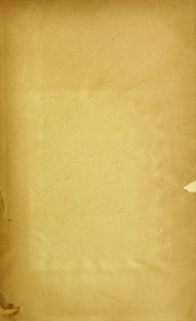 digitised image 3