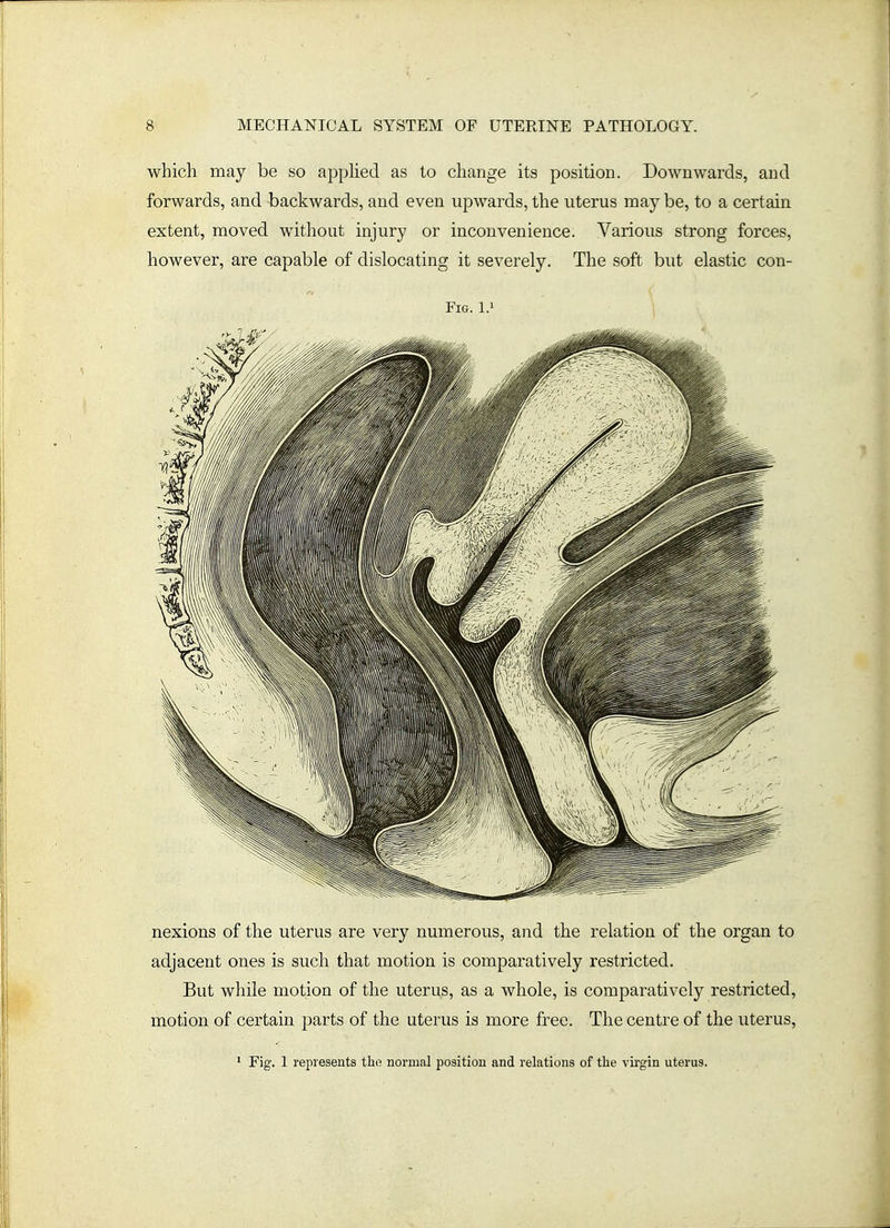 which may be so apphed as to change its position. Downwards, and forwards, and backwards, and even upwards, the uterus may be, to a certain extent, moved without injury or inconvenience. Various strong forces, however, are capable of dislocating it severely. The soft but elastic con- FiG. L' nexions of the uterus are very numerous, and the relation of the organ to adjacent ones is such that motion is comparatively restricted. But while motion of the uterus, as a whole, is comparatively restricted, motion of certain parts of the uterus is more free. The centre of the uterus, ■ Fig. 1 represents the normal position and relations of the vii-gin uterus.