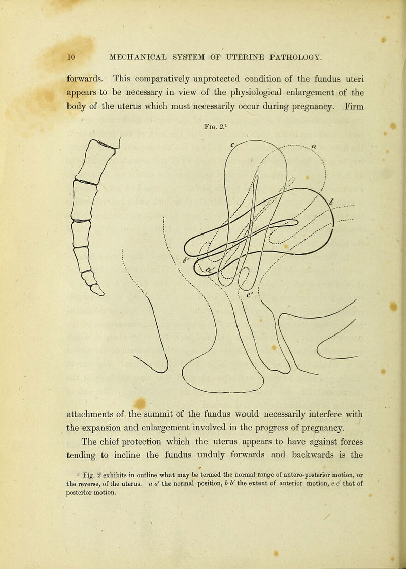 forwards. This comparatively unprotected condition of the fundus uteri appears to be necessary in view of the physiological enlargement of the body of the uterus which must necessarily occur during pregnancy. Firm Fig. 2.1 attachments of the summit of the fundus would necessarily interfere with the expansion and enlargement involved in the progress of pregnancy. The chief protection which the uterus appears to have against forces tending to incline the fundus imduly forwards and backwards is the 1 Fig. 2 exhibits in outline what may he termed the normal range of antero-posterior motion, or the reverse, of the uterus, a a' the normal position, b V the extent of anterior motion, c c that of posterior motion. ■ / f