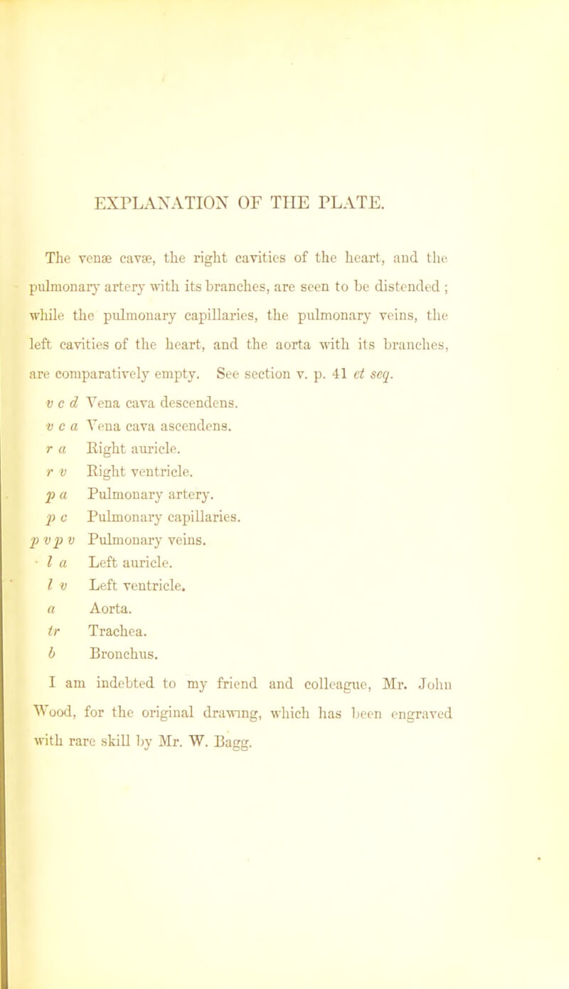 EXPLANATION OF THE PLATE. The venae cavse, the right cavities of the heart, and the pulmonary artery with its branches, are seen to be distended ; while the pulmonary capillaries, the pulmonary veins, the left cavities of the heart, and the aorta with its branches, are comparatively empty. See section v. p. 41 ct seq. v c d Vena cava descendens. v c a Vena cava ascendens. r a Eight auricle. r v Eight ventricle. p a Pulmonary artery. ]} c Pulmonary capillaries. p v p v Pulmonary veins. ■ I a Left auricle. I v Left ventricle. a Aorta. tr Trachea. b Bronchus. I am indebted to my friend and colleague, Mr. John Wood, for the original drawing, which has been engraved with rare skill by Mr. W. Bagg.
