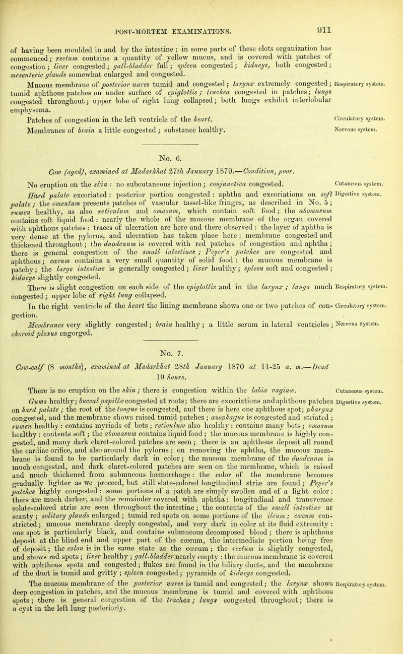 of having been moulded in and by the intestine; in some parts of these clots organization has commenced; rectum contains a quantity of yellow mucus, and is covered with patches of congestion ; liver congested; gall-bladder full; spleen congested; kidneys, both congested; mesenteric glands somewhat enlarged and congested. Mucous membrane of posterior nares tumid and congested; larynx extremely congested; Respiratory system, tumid aphthous patches on under surface of epiglottis; trachea congested in patches; lungs congested throughout; upper lobe of right lung collapsed; both lungs exhibit interlobular emphysema. Patches of congestion in the left ventricle of the heart. Circulatory system. Membranes of brain a little congested; substance healthy. Nervous system. No. 6. Cow (aged), examined, at Madarhhat 27th January 1870.—Condition,poor. No eruption on the shin : no subcutaneous injection; conjunctiva congested. Cutaneous system. Hard palate excoriated : posterior portion congested : aphtha and excoriations on soft Digestive system. palate ; the omentum presents patches of vascular tassel-like fringes, as described in No. 5 ; rumen healthy, as also reticulum and omasum, which contain soft food; the abomasum contains soft liquid food : nearly the whole of the mucous membrane of the organ covered with aphthous patches : traces of ulceration are here and there observed : the layer of aphtha is very dense at the pylorus, and ulceration has taken place here : membrane congested and thickened throughout; the duodenum is covered with red patches of congestion and aphtha; there is general congestion of the small intestines ; Peyer's patches are congested and aphthous; ccecum contains a very small quantity of solid food : the mucous membrane is patchy; the large intestine is generally congested; liver healthy; spleen soft and congested; kidneys slightly congested. There is slight congestion on each side of the epiglottis and in the larynx ; lungs much Respiratory system, congested; upper lobe of right lung collapsed. In the right ventricle of the heart the lining membrane shows one or two patches of con- Circulatory system, gestion. ■ Membranes very slightly congested; brain healthy; a little serum in lateral ventricles; Nervous system. choroid plexus engorged. No. 7. Cow-calf (8 months), examined at Madarhhat %8lh January 1870 at 11-25 a. m.—Bead 10 hours. There is no eruption on the skin ; there is congestion within the labia vagina. Cutaneous system. Gums healthy; buccal papilla congested at roots; there are excoriations andaphthous patches Digestive system, on hard palate ; the root of the tongue is congested, and there is here one aphthous spot; pharynx congested, and the membrane shows raised tumid patches ; cesophagus is congested and striated ; ■rumen healthy : contains myriads of bots ; reticulum also healthy : contains many bots; omasum healthy : contents soft; the abomasum contains liquid food ; the mucous membrane is highly con- gested, and many dark claret-colored patches are seen; there is an aphthous deposit all round the cardiac orifice, and also around the pylorus; on removing the aphtha, the mucous mem- brane is found to be particularly dark in color; the mucous membrane of the duodenum is much congested, and dark claret-colored patches are seen on the membrane, which is raised and much thickened from submucous haemorrhage: the color of the membrane becomes gradually lighter as we proceed, but still slate-colored longitudinal striae are found; Peyer's patches highly congested : some portions of a patch are simply swollen and of a light color: thers are much darker, and the remainder covered with aphtha : longitudinal and transversee solate-colored striae are seen throughout the intestine; the contents of the small intestine ar scanty ; solitary glands enlarged; tumid red spots on some portions of the ileum ; ccecum con- stricted ; mucous membrane deeply congested, and very dark in color at its fluid extremity : one spot is particularly black, and contains submucous decomposed blood; there is aphthous deposit at the blind end and upper part of the coecum, the intermediate portion being free of deposit; the colon is in the same state as the ccecum; the rectum is slightly congested, and shows red spots; liver healthy ; gall-bladder nearly empty : the mucous membrane is covered with aphthous spots and congested; flukes are found in the biliary ducts, and the membrane of the duct is tumid and gritty; spleen congested; pyramids of kidneys congested. The mucous membrane of the posterior nares is tumid and congested; the larynx shows Respiratory system, deep congestion in patches, and the mucous membrane is tumid and covered with aphthous spots; there is general congestion of the trachea; lungs congested throughout; there is a cyst in the left lung posteriorly.