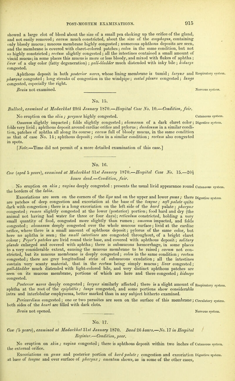 showed a large clot of blood about the size of a small pea choking up the orifice of the gland, and not easily removed; caecum much constricted, about the size of the oesophagus, containing only bloody mucus; mucous membrane highly congested; numerous aphthous deposits are seen, and the membrane is covered with claret-colored patches; colon in the same condition, but not so highly constricted; rectum slightly congested; all the intestines contained a small amount of viscid mucus; in some places this mucus is more or less bloody, and mixed with flukes of aphtha ; liver of a clay color (fatty degeneration) ; gall-bladder much distended with inky bile ; kidneys congested. Aphthous deposit in both posterior nares, whose lining membrane is tumid; larynx and Respiratory system. pharynx congested ; long streaks of congestion in the windpipe; costal pleura congested; lungs congested, especially the right. Brain not examined. Nervous system. No. 15. Bullock, examined at Madarkhat 29th January 1870.—Hospital Case No. 10.—Condition, fair. No eruption on the skin ; prepuce highly congested. Cutaneous system. Omasum slightly impacted; folds slightly congested; alomasum of a dark claret color; Digestive system, folds very livid; aphthous deposit around cardiac orifice and pylorus; duodenum in a similar condi- tion, patches of aphtha all along its course; ccecum full of bloody mucus, in the same condition as that of case No. 14; aphthous deposit; colon in a similar condition; rectum also congested in spots. \Note.—Time did not permit of a more detailed examination of this case.] No. 16. Cow [aged 5 years), examined at Madarkhat ?>\sl January 1870.—Hospital Case No. 15.—20| hours dead,—Condition, fair. , No eruption on skin ; vagina deeply congested : presents the usual livid appearance round Cutaneous system, the borders of the labia. Excoriations are seen on the corners of the lips and on the upper and lower gums ; there Digestive system, are patches of deep congestion and excoriation at the base of the tongue; soft palate quite dark with congestion ; there is a long excoriation on the left side of the hard palate; pharynx congested; rumen slightly congested at the lower (posterior) portion; food hard and dry (the animal not having had water for three or four days); reticulum constricted, holding a very small quantity of food, congested more slightly than rumen; omasum impacted, and folds congested; abomasum deeply congested over the whole mucous surface; livid at the cardiac orifice, where there is a small amount of aphthous deposit; pylorus of the same color, but here no aphtha is seen; the small intestines are congested throughout, of a bright claret colour; Beyer's patches are livid round their base, and covered with aphthous deposit; solitary glands enlarged and covered with aphtha; there is submucous haemorrhage, in some places to a very considerable extent, causing the mucous membrane to be raised; caecum not con- stricted, but its mucous membrane is deeply congested; colon in the same condition; rectum congested; there are grey longitudinal striae of submucous exudation; all the intestines contain very scanty material, that in the rectum being simply mucus; liver congested; gall-bladder much distended with light-colored bile, and very distinct aphthous patches are seen on its mucous membrane, portions of which are here and there congested; kidneys congested. Bostenor nares deeply congested; larynx similarly affected ; there is a slight amount of Respiratory system, aphtha at the root of the epiglottis; lungs congested, and some portions show considerable intra and interlobular emphysema, better marked than in any subject hitherto examined. Bericardium congested; one or two parasites are seen on the surface of this membrane; circulatory system, both sides of the heart are filled with dark clots. Brain not opened, Nervous system. No. 17. Cow (h years), examined at Madarkhat 2>\st January 1870. Bead 26 hours.—No. 17 in Hospital Register.—Condition, poor. No eruption on skin; vagina congested; there is aphthous deposit within two inches of Cutaneous system, the external orifice. Excoriations on gums and posterior portion of hard palate; congestion and excoriation Digestive system, at base of tongue and over surface of pharynx ; omentum shows, as in some of the other cases,