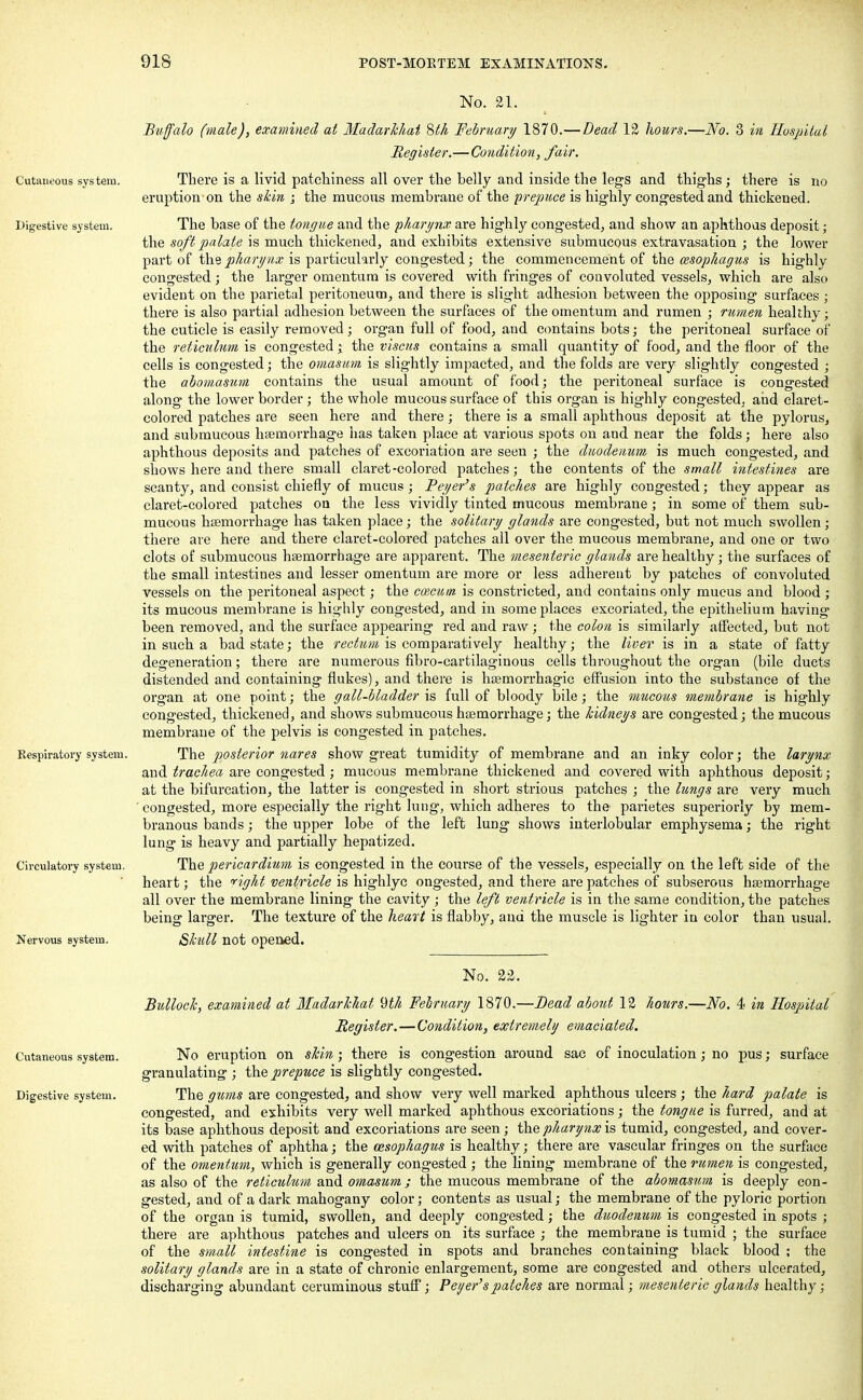No. 21. Buffalo (male), examined at Madarkhat Sth February 1870.—Dead 12 hours.—No. 3 in Hospital Register.—Condition, fair. Cutaneous system. There is a livid patchiness all over the belly and inside the legs and thighs; there is no eruption on the skin ; the mucous membrane of the prepuce is highly congested and thickened. Digestive system. The base of the tongue and the pharynx are highly congested, and show an aphthous deposit; the soft palate is much thickened, and exhibits extensive submucous extravasation ; the lower part of the pharynx is particularly congested; the commencement of the oesophagus is highly congested; the larger omentum is covered with fringes of convoluted vessels, which are also evident on the parietal peritoneum, and there is slight adhesion between the opposing surfaces ; there is also partial adhesion between the surfaces of the omentum and rumen ; rumen healthy; the cuticle is easily removed ; organ full of food, and contains bots; the peritoneal surface of the reticulum is congested; the viscus contains a small quantity of food, and the floor of the cells is congested; the omasum is slightly impacted, and the folds are very slightly congested ; the abomasum contains the usual amount of food; the peritoneal surface is congested along the lower border ; the whole mucous surface of this organ is highly congested, and claret- colored patches are seen here and there; there is a small aphthous deposit at the pylorus, and submucous haemorrhage has taken place at various spots on and near the folds; here also aphthous deposits and patches of excoriation are seen ; the duodenum is much congested, and shows here and there small claret-colored patches; the contents of the small intestines are scanty, and consist chiefly of mucus; Peyer's patches are highly congested; they appear as claret-colored patches on the less vividly tinted mucous membrane; in some of them sub- mucous haemorrhage has taken place; the solitary glands are congested, but not much swollen; there are here and there claret-colored patches all over the mucous membrane, and one or two clots of submucous haemorrhage are apparent. The mesenteric glands are healthy; the surfaces of the small intestines and lesser omentum are more or less adherent by patches of convoluted vessels on the peritoneal aspect; the coscum is constricted, and contains only mucus and blood ; its mucous membrane is highly congested, and in some places excoriated, the epithelium having been removed, and the surface appearing red and raw; the colon is similarly affected, but not in such a bad state; the rectum is comparatively healthy; the liver is in a state of fatty degeneration; there are numerous fibro-cartilaginous cells throughout the organ (bile ducts distended and containing flukes), and there is hemorrhagic effusion into the substance of the organ at one point; the gall-bladder is full of bloody bile; the mucous membrane is highly congested, thickened, and shows submucous haemorrhage; the kidneys are congested; the mucous membrane of the pelvis is congested in patches. Respiratory system. The posterior nares show great tumidity of membrane and an inky color; the larynx and trachea are congested; mucous membrane thickened and covered with aphthous deposit; at the bifurcation, the latter is congested in short strious patches ; the lungs are very much ' congested, more especially the right lung, which adheres to the parietes superiorly by mem- branous bands; the upper lobe of the left lung shows interlobular emphysema; the right lung is heavy and partially hepatized. Circulatory system. The pericardium is congested in the course of the vessels, especially on the left side of the heart; the right ventricle is highlyc ongested, and there are patches of subserous haemorrhage all over the membrane lining the cavity ; the left ventricle is in the same condition, the patches being larger. The texture of the heart is flabby, and the muscle is lighter in color than usual. Nervous system. Skull not opened. No. 22. Bullock, examined at Madarkhat 9th February 1870.—Bead about 12 hours.—No. 4< in Hospital Register. — Condition, extremely emaciated. Cutaneous system. No eruption on skin; there is congestion around sac of inoculation; no pus; surface granulating ; the prepuce is slightly congested. Digestive system. The gums are congested, and show very well marked aphthous ulcers ; the hard palate is congested, and exhibits very well marked aphthous excoriations; the tongue is furred, and at its base aphthous deposit and excoriations are seen; the pharynx is tumid, congested, and cover- ed with patches of aphtha; the oesophagus is healthy; there are vascular fringes on the surface of the omentum, which is generally congested ; the lining membrane of the rumen is congested, as also of the reticulum and omasum; the mucous membrane of the abomasum is deeply con- gested, and of a dark mahogany color; contents as usual; the membrane of the pyloric portion of the organ is tumid, swollen, and deeply congested; the duodenum is congested in spots ; there are aphthous patches and ulcers on its surface ; the membrane is tumid ; the surface of the small intestine is congested in spots and branches containing black blood ; the solitary glands are in a state of chronic enlargement, some are congested and others ulcerated, discharging abundant ceruminous stuff; Peyer's patches are normal; mesenteric glands healthy;