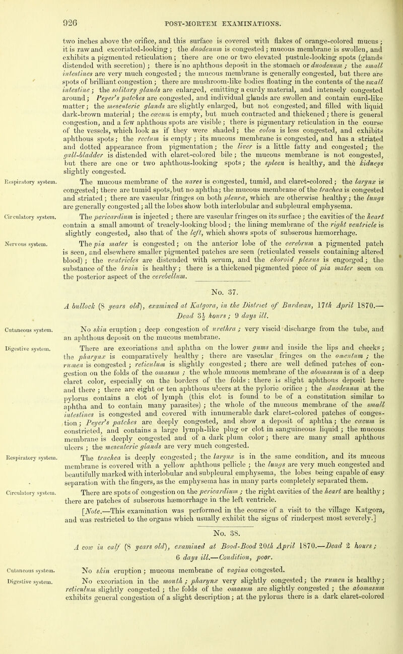 two inches above the orifice, and this surface is covered with flakes of orange-colored mucus; it is raw and excoriated-looking ; the duodenum is congested; mucous membrane is swollen, and exhibits a pigmented reticulation; there are one or two elevated pustule-looking spots (glands distended with secretion) ; there is no aphthous deposit in the stomach or duodenum ; the small intestines are very much congested; the mucous membrane is generally congested, but there are spots of brilliant congestion; there are mushroom-like bodies floating in the contents of the small intestine ; the solitary glands are enlarged, emitting a curdy material, and intensely congested around; Peyer'spatches are congested, and individual glands are swollen and contain curd-like matter; the mesenteric glands are slightly enlarged, but not congested, and filled with liquid dark-brown material; the caecum is empty, but much contracted and thickened ; there is general congestion, and a few aphthous spots are visible; there is pigmentary reticulation in the course of the vessels, which look as if they were shaded; the colon is less congested, and exhibits aphthous spots; the rectum is empty ; its mucous membrane is congested, and has a striated and dotted appearance from pigmentation; the liver is a little fatty and congested; the gall-bladder is distended with claret-colored bile; the mucous membrane is not congested, but there are one or two aphthous-looking spots; the spleen is healthy, and the kidneys slightly congested. Respiratory system. The mucous membrane of the nares is congested, tumid, and claret-colored; the larynx is congested; there are tumid spots, but no aphtha; the mucous membrane of the tracheais congested and striated ; there are vascular fringes on both pleura, which are otherwise healthy; the lungs are generally congested; all the lobes show both interlobular and subpleural emphysema. Circulatory system. The pericardium is injected ; there are vascular fringes on its surface; the cavities of the heart contain a small amount of treacly-looking blood; the lining membrane of the right ventricle is slightly congested, also that of the left, which shows spots of subserous haemorrhage. Nervous system. The pia mater is congested; on the anterior lobe of the cerebrum a pigmented patch is seen, and elsewhere smaller pigmented patches are seen (reticulated vessels containing altered blood); the ventricles are distended with serum, and the choroid plexus is engorged; the substance of the brain is healthy; there is a thickened pigmented piece of pia mater seen on the posterior aspect of the cerebellum. No. 37. A bullock (8 years old), examined at Katgora, in the District of Burdwan, 17'th April 1870.— Bead 2>\ hours ; 9 days ill. Cutaneous system. No skin eruption; deep congestion of urethra ; very viscid discharge from the tube, and an aphthous deposit on the mucous membrane. Digestive system. There are excoriations and aphtha on the lower gums and inside the lips and cheeks; the pharynx is comparatively healthy ; there are vascular fringes on the omentum ; the rumen is congested ; reticulum is slightly congested ; there are well defined patches of con- gestion on the folds of the omasum ; the whole mucous membrane of the abomasum is of a deep claret color, especially on the borders of the folds : there is slight aphthous deposit here and there ; there are eight or ten aphthous ulcers at the pyloric orifice ; the duodenum at the pylorus contains a clot of lymph (this clot is found to be of a constitution similar to aphtha and to contain many parasites) ; the whole of the mucous membrane of the small intestines is congested and covered with innumerable dark claret-colored patches of conges- tion ; Beyer's patches are deeply congested, and show a deposit of aphtha; the caecum is constricted, and contains a large lymph-like plug or clot in sanguineous liquid ; the mucous membrane is deeply congested and of a dark plum color; there are many small aphthous ulcers ; the mesenteric glands are very much congested. Respiratory system. The trachea is deeply congested; the larynx is in the same condition, and its mucous membrane is covered with a yellow aphthous pellicle ; the lungs are very much congested and beautifully marked with interlobular and subpleural emphysema, the lobes being capable of easy separation with the fingers, as the emphysema has in many parts completely separated them. Circulatory system. There are spots of congestion on the pericardium ; the right cavities of the heart are healthy; there are patches of subserous haemorrhage in the left ventricle. [Note.—This examination was performed in the course of a visit to the village Katgora, and was restricted to the organs which usually exhibit the signs of rinderpest most severely.] No. 38. A cow in calf (8 years old), examined at Bood-Bood 20th April 1870.—Bead 2 hours; 6 days ill.— Condition, poor. Cutaneous system. No skin eruption; mucous membrane of vagina congested. Digestive system. No excoriation in the mouth ; pharynx very slightly congested; the rumen is healthy; reticulum slightly congested ; the folds of the omasum are slightly congested ; the abomasum exhibits general congestion of a slight description; at the pylorus there is a dark claret-colored