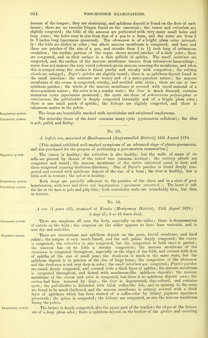 dorsum of the tongue; they are cicatrizing, and aphthous deposit is found on the floor of each Assure; there are no vascular fringes found on the omentum; the rumen and reticulum are slightly congested; the folds of the omasttm are perforated with very many small holes and long rents; the holes vary in size from that of a pea to a bean, and the rents are from 3 to 9 inches long (specimens preserved). The abomasum is of a bright plum color internal- ly > the folds are darker in color ; the whole mucous membrane is congested, and here and there are patches of the size of a pea, and streaks from 1 to \\ inch long of submucous exudation; the cardiac portion of the organ shows several patches of a dark color; these are congested, and on their surface is a thin pellicle of aphtha. The small intestines are congested, and the surface of the mucous membrane uneven from submucous haemorrhage; water does not remove the very viscid yellowish-green mucous covering the membrane, and when this is scraped away, the surface is found patchy and streaky with congestion; the solitary glands are enlai'ged; Peyer's patches are slightly tumid; there is no aphthous deposit found in the small intestine; the contents are scanty and of a muco-purulent nature; the mucous membrane of the caecum is congested, streaky, and mottled with strise; there are one or two aphthous patches; the whole of the mucous membrane is covered with viscid material of a muco-purulent nature; the colon is in a similar state; the liver is much diseased, contains numerous cysts (specimens preserved) ; the cysts are those of echinococcus polymorphus or veterinonm; the gall-bladder is deeply congested internally and of a bright plum color; there is one small patch of aphtha; the kidneys are slightly congested, and there is calcareous matter in the pelvis. Respiratory system. The lungs are beautifully marked with interlobular and subpleural emphysema. Circulatory system. The muscular tissue of the heart contains many cysts (cystocercus cellulosse); the fibre is soft, pallid, and flabby. No. 53. A buffalo cow, examined at Shaikoopoorah (Goojranwallah District?) 16lh August 1870. [This animal exhibited well-marked symptoms of an advanced stage of pleuro-pneumonia, and was purchased for the purpose of performing a post-mortem examination.] The rumen is healthy; the reticulum is also healthy, but the walls of many of its cells are pierced by thorns of the babool tree (mimosa arabica) ; the solitary glands are congested and tumid; the mucous membrane of the entire intestinal canal is here and there congested (causing doubtless diarrhoea). One of Peyer's patches is found deeply cou- gested and covered with aphthous deposit of the size of a bean; the liver is healthy, but a little soft in texture; the spleen is healthy. Both lungs are partially adherent to the parietes of the chest, and in a state of grey hepatization, with here and there red hepatization ( specimens preserved ); The heart is saft the fat at its base is pale and jelly -like; both ventricular walls are remarkably thin, but firm in texture. No. 54. A cow (4 years old), examined at Koralie {Montgomery District), Zhth August 1870 ; 5 days ill; 8 or 10 hours dead. Cutaneous system. There are eruptions all over the body, especially on the udder; there is desquamation of cuticle on the body; the eruption on the udder appears to have been vesicular, and is now dry and scab-like. Digestive system. There are excoriations and aphthous deposit on the gums, buccal membrane, and hard palate; the tongue is very much furred, and the soft palate deeply congested; the rumen ls congested; the reticulum is also congested, but the congestion in both cases is partial; the omasum has on its folds a streaky congestion; the mucous membrane _ of the abomasum is congested throughout, especially on the edges of the folds, and covered with dots of aphtha of the size of small peas; the duodenum is much iu the same state, but the aphthous deposit is in patches of the size of large beans; the congestion of the abomasum and the duodenum is not very deep in color; the small intestines are congested; Peyer's patches are raised, deeply congested, and covered with a thick layer of aphtha; the mucous membrans is congested throughout, and dotted with mushroom-like aphthous deposits; the mucoue membrane of the caecum and colon is congested, but there is no aphthous deposit seen; the rectum had been removed by dogs; the liver is degenerated, clay-colored, and contains cysts; the gall-bladder is distended with thick coffee-like bile, and on opening it, the coats are found to be much thickened, and the mucous membrane is entirely covered with a thick layer of aphthous which has been stained of a coffee-color by biliary pigment (specimen preserved); the spleen is congested; the kidneys are congested, as also the mucous membrane lining the pelvis. Respiratory system. The larynx is deeply congested, also the upper part of the trachea: the edges of the larynx are of a deep plum color; there is aphthous deposit on the borders of the glottis and covering Digestive system. Respiratory system. Circulatory system.