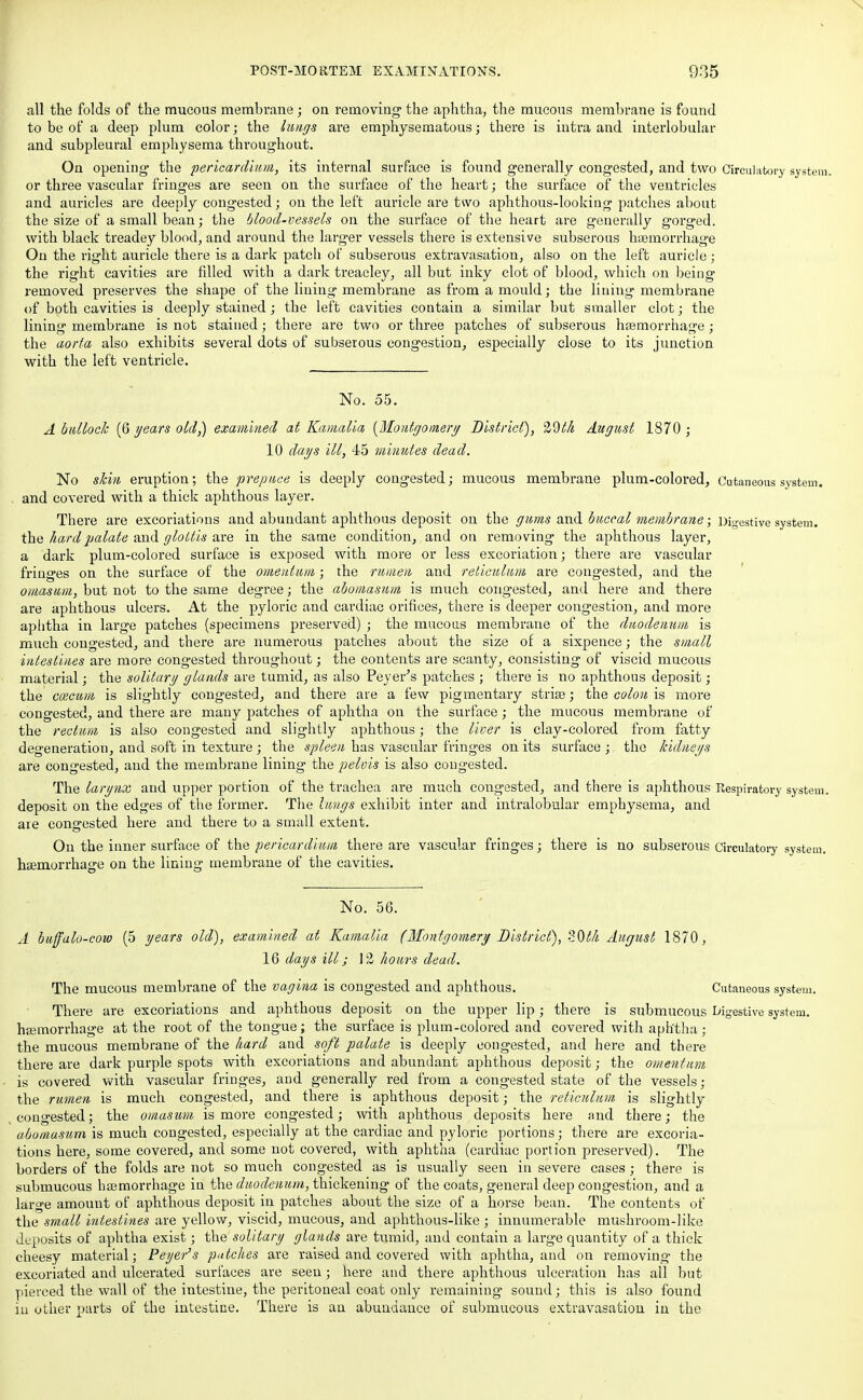 all the folds of the mucous membrane ; on removing the aphtha, the mucous membrane is found to be of a deep plum color; the lungs are emphysematous; there is intra and interlobular and subpleural emphysema throughout. On opening the pericardium, its internal surface is found generally congested, and two Circulator or three vascular fringes are seen on the surface of the heart; the surface of the ventricles and auricles are deeply congested; on the left auricle are two aphthous-looking patches about the size of a small bean; the blood-vessels on the surface of the heart are generally gorged, with black treadey blood, and around the larger vessels there is extensive subserous haemorrhage On the right auricle there is a dark patch of subserous extravasation, also on the left auricle; the right cavities are filled with a dark treacley, all but inky clot of blood, which on being removed preserves the shape of the lining membrane as from a mould; the lining membrane of both cavities is deeply stained; the left cavities contain a similar but smaller clot; the lining membrane is not stained; there are two or three patches of subserous haemorrhage; the aorta also exhibits several dots of subserous congestion, especially close to its junction with the left ventricle. No. 55. A bullock (6 years old,) examined at Kainalia (Montgomery District), 2,9th August 1870 ; 10 days ill, 45 minutes dead. No skin eruption; the prepuce is deeply congested; mucous membrane plum-colored, Cutaneous system and covered with a thick aphthous layer. There are excoriations and abundant aphthous deposit on the gums and buccal membrane; Digestive system, the hard palate and glottis are in the same condition, and on removing the aphthous layer, a dark plum-colored surface is exposed with more or less excoriation; there are vascular fringes on the surface of the omentum; the rumen and reticulum are congested, and the omasum, but not to the same degree; the abomasum is much congested, and here and there are aphthous ulcers. At the pyloric and cardiac orifices, there is deeper congestion, and more aplitha in large patches (specimens preserved) ; the mucous membrane of the duodenum is much congested, and there are numerous patches about the size of a sixpence; the small intestines are more congested throughout; the contents are scanty, consisting of viscid mucous material; the solitary glands are tumid, as also Peyer's patches ; there is no aphthous deposit ; the ccecum is slightly congested, and there are a few pigmentary striae; the colon is more congested, and there are many patches of aphtha on the surface; the mucous membrane of the rectum is also congested and slightly aphthous; the liver is clay-colored from fatty degeneration, and soft in texture ; the spleen has vascular fringes on its surface ; the kidneys are congested, and the membrane lining the pelvis is also congested. The larynx and upper portion of the trachea are much congested, and there is aphthous Respiratory syste: deposit on the edges of the former. The lungs exhibit inter and intralobular emphysema, and are congested here and there to a small extent. On the inner surface of the pericardium there are vascular fringes; there is no subserous Circulatory systei haemorrhage on the lining membrane of the cavities. No. 56. A buffalo-cow (5 years old), examined at Kamalia (Montgomery District), iOt/i August 1870, 16 days ill; VI hours dead. The mucous membrane of the vagina is congested and aphthous. Cutaneous system. There are excoriations and aphthous deposit on the upper lip; there is submucous Digestive system, haemorrhage at the root of the tongue; the surface is plum-colored and covered with aphtha ; the mucous membrane of the hard and soft palate is deeply congested, and here and there there are dark purple spots with excoriations and abundant aphthous deposit; the omentum is covered with vascular fringes, and generally red from a congested state of the vessels; the rumen is much congested, and there is aphthous deposit; the reticulum is slightly congested; the omasum is more congested; with aphthous deposits here and there; the abomasum is much congested, especially at the cardiac and pyloric portions; there are excoria- tions here, some covered, and some not covered, with aphtha (cardiac portion preserved). The borders of the folds are not so much congested as is usually seen in severe cases; there is submucous haemorrhage in the duodenum, thickening of the coats, general deep congestion, and a large amount of aphthous deposit in patches about the size of a horse bean. The contents of the small intestines are yellow, viscid, mucous, and aphthous-like ; innumerable mushroom-like deposits of aphtha exist; the solitary glands are tumid, and contain a large quantity of a thick cheesy material; Peyer's patches are raised and covered with aphtha, and on removing the excoriated and ulcerated surfaces are seen; here and there aphthous ulceration has all but pierced the wall of the intestine, the peritoneal coat only remaining sound; this is also found in other parts of the intestine. There is an abundance of submucous extravasation in the