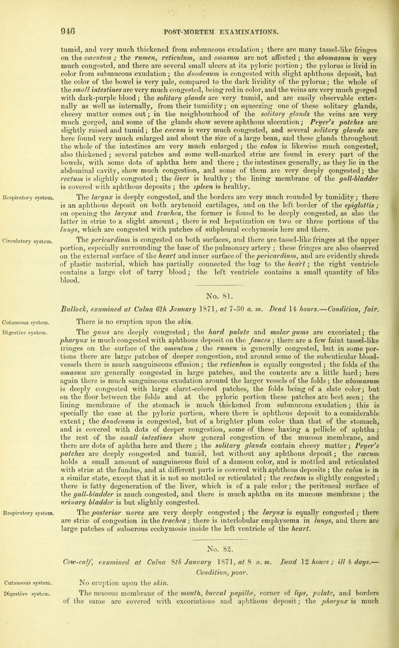 tumid, and very much thickened from submucous exudation; there are many tassel-like fringes on the omentum ; the rumen, reticulum, and omasum are not affected ; the abomasum is very much congested, and there are several small ulcers at its pyloric portion; the pylorus is livid in color from submucous exudation; the duodenum is congested with slight aphthous deposit, but the color of the bowel is very pale, compared to the dark lividity of the pylorus; the whole of the small intestines are very much congested, being red in color, and the veins are very much gorged with dark-purple blood; the solitary glands are very tumid, and are easily observable exter- nally as well as internally, from their tumidity; on squeezing one of these solitary glands, cheesy matter comes out; in the neighbourhood of the solitary glands the veins are very much gorged, and some of the glands show severe aphthous ulceration; Peyer's patches are slightly raised and tumid; the ccecum is very much congested, and several solitary glands are here found very much enlarged and about the size of a large bean, and these glands throughout the whole of the intestines are very much enlarged; the colon is likewise much congested, also thickened; several patches and some well-marked striae are found in every part of the bowels, with some dots of aphtha here and there ; the intestines generally, as they lie in the abdominal cavity, show much congestion, and some of them are very deeply congested; the rectum is slightly congested; the liver is healthy; the lining membrane of the gall-bladder is covered with aphthous deposits ; the spleen is healthy. Respiratory system. The larynx is deeply congested, and the borders are very much rounded by tumidity; there is an aphthous deposit on both arytenoid cartilages, and on the left border of the epiglottis / on opening the larynx and trachea, the former is found to be deeply congested, as also the latter in striae to a slight amount; there is red hepatization on two or three portions of the lungs, which are congested with patches of subpleural ecchymosis here and there. Circulatory system. The pericardium is congested on both surfaces, and there are tassel-like fringes at the upper portion, especially surrounding the base of the pulmonary artery ; these fringes are also observed on the external surface of the heart and inner surface of the pericardium, and are evidently shreds of plastic material, which has partially connected the bag to the heart; the right ventricle contains a large clot of tarry blood; the left ventricle contains a small quantity of like blood. No. 81. Bullock, examined at Culna 6th January 1871, at 7-30 a. m. Dead 14 hours.—Condition, fair. Cutaneous system. There is no eruption upon the skin. Digestive system. The gums are deeply congested; the hard palate and molar gums are excoriated; the pharynx is much congested with aphthous deposit on the fauces ; there are a few faint tassel-like fringes on the surface of the omentum ; the rumen is generally congested, but in some por- tions there are large patches of deeper congestion, and around some of the subcuticular blood- vessels there is much sanguineous effusion; the reticulum is equally congested; the folds of the omasum are generally congested in large patches, and the contents are a little hard; here again there is much sanguineous exudation around the larger vessels of the folds; the abomasum is deeply congested with large claret-colored patches, the folds being of a slate color; but on the floor between the folds and at the pyloric portion these patches are best seen; the lining membrane of the stomach is much thickened from submucous exudation; this is specially the case at the pyloric portion, where there is aphthous deposit to a considerable extent; the duodenum is congested, but of a brighter plum color than that of the stomach, and is covered with dots of deeper congestion, some of these having a pellicle of aphtha; the rest of the small intestines show general congestion of the mucous membrane, and there are dots of aphtha here and there ; the solitary glands contain cheesy matter; Peyer's patches are deeply congested and tumid, but without any aphthous deposit; the cmcum holds a small amount of sanguineous fluid of a damson color, and is mottled and reticulated with striae at the fundus, and at different parts is covered with aphthous deposits; the colon is in a similar state, except that it is not so mottled or reticulated; the rectum is slightly congested; there is fatty degeneration of the liver, which is of a pale color; the peritoneal surface of the gall-bladder is much congested, and there is much aphtha on its mucous membrane ; the urinary bladder is but slightly congested. Respiratory system. The posterior nares are very deeply congested ; the larynx is equally congested ; there are striae of congestion in the trachea ; there is interlobular emphysema in lungs, and there are large patches of subserous ecchymosis inside the left ventricle of the heart. No. 82. Cow-calf, examined at Culna 8th January 1871, at 8 a.m. Dead 12 hours; ill 4 days.— Condition, poor. Cutaneous system. No eruption upon the skin. Digestive system. The mucous membrane of the mouth, buccal papilla, corner of lips, palate, and borders of the same are covered with excoriations and aphthous deposit; the pharynx is much