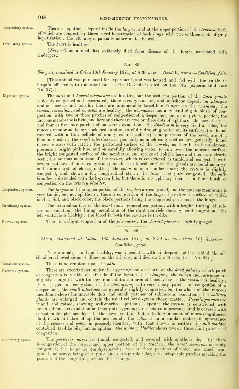 Kespiratory system. Circulatory system. Digestive system. Respiratory system. Circulatory system. Nervous system Cutaneous system. Digestive system. Ktspiratory system. There is aphthous deposit inside the larynx, and at the upper portion of the trachea, both of which are congested; there is red hepatization of both lungs, with two or three spots of grey hepatization ; the left lung is partially adherent to the wall. The heart is healthy. [Note.—This animal has evidently died from disease of the lungs, associated with rinderpest. No. 85. She-goat, examined at CulnalQth January 1871, at 8-30 a, m.—Dead 4^ hours.—Condition, fair. [This animal was purchased for experiment, and was housed and fed with the cattle in hospital affected with rinderpest since 19th December; died on the 9th (experimental case No. 27).] The gums and buccal membrane are healthy, but the posterior portion of the hard palate is deeply congested and excoriated; there is congestion of, and aphthous deposit on pharytix and on floor around tonsils; there are innumerable tassel-like fringes on the omentum', the rumen, reticulum, and omasum are healthy; the abomasum has a general slight blush of con- gestion with two or three patches of congestion of a deeper hue, and at its pyloric portion, the mucous membrane is livid, and here and there are two or three dots of aphtha of the size of a pea, and four or five inky patches of subserous exudation; the duodenum is very livid in color, the mucous membrane being thickened; and on carefully dropping water on its surface, it is found covered with a thin pellicle of orange-colored aphtha; some portions of the bowel are of a blue inky color; the small intestines are generally as much congested as are generally found in severe cases with cattle; the peritoneal surface of the bowels, as they lie in the abdomen, presents a bright pink hue, and on carefully allowing water to run over the mucous surface, the bright congested surface of the membrane, and specks of aphtha here and there, are clearly seen; the mucous membrane of the ccecum, which is constricted, is tumid and congested with several patches of inky congestion ; on the peritoneal surface the glands are found enlarged and contain cysts of cheesy matter; the colon is in a similar state; the rectum is slightly congested, and shows a few longitudinal striae; the liver is slightly congested; the gall- bladder is distended with dark-green bile, but there is no aphtha; there is a faint blush of congestion on the urinary bladder. The larynx and the upper portion of the trachea are congested, and the mucous membrane is very tumid, but not aphthous ; there is congestion of the lungs, the external surface of which is of a pink and black color, the black portions being the congested portions of the lungs. The external surface of the heart shows general congestion, with a bright tinting of sub- serous exudation; the lining membrane of the right ventricle shows general congestion; the left ventricle is healthy; the blood in both the cavities is tar-like. There is a slight congestion of thepia mater; the choroid plexus is slightly gorged. No. 86. Sheep, examined at Culna 10th January 1871, at 8-30 a. m.—Bead 10J hours.— Condition, good). [The animal, sound and healthy, was inoculated with rinderpest aphtha behind the off- shoulder, showed signs of illness on the 5th day, and died on the 9th day (case No. 23).] Thei-e is no eruption upon the skin. There are excoriations under the upper lip and on centre of the hard palate; a dark patch of congestion is visible on left side of the dorsum of the tongue ; the rumen and reticulum are slightly congested with tinting from infiltration around blood-vessels; the omasum is healthy; there is general congestion of the abomasum, with very many patches of congestion of a deeper hue; the small intestines are generally slightly congested, but the whole of the mucous membrane shows innumerable dots and small patches of submucous exudation; the solitary glands are enlarged and contain the usual yellowish-green cheesy matter ; Peyer's patches are tumid and raised, showing well-marked aphthous deposit; the ccecum is constricted with much submucous exudation and many striae, giving a reticulated appearance, and is covered with considerable aphthous deposit; the bowel contains but a trifling amount of muco-sanguineous fluid, in which flakes of aphtha are found; the colon is in a similar state; the appearance of the ccecum and colon is precisely identical with that shown in cattle; the gall-bladder contained tar-like bile, but no aphtha ; the urinary bladder shows two or three faint patches of congestion. The posterior nares are tumid, congested, and covered with aphthous deposit; there is congestion of the larynx and upper portion of the trachea ; the nasal membrane is deeply congested; the lungs are emphysematous, two or three portions of which are much con- gested and heavy, being of a pink and dark-purple color, the dark-purple patches marking the position of the congested portions of the lungs.