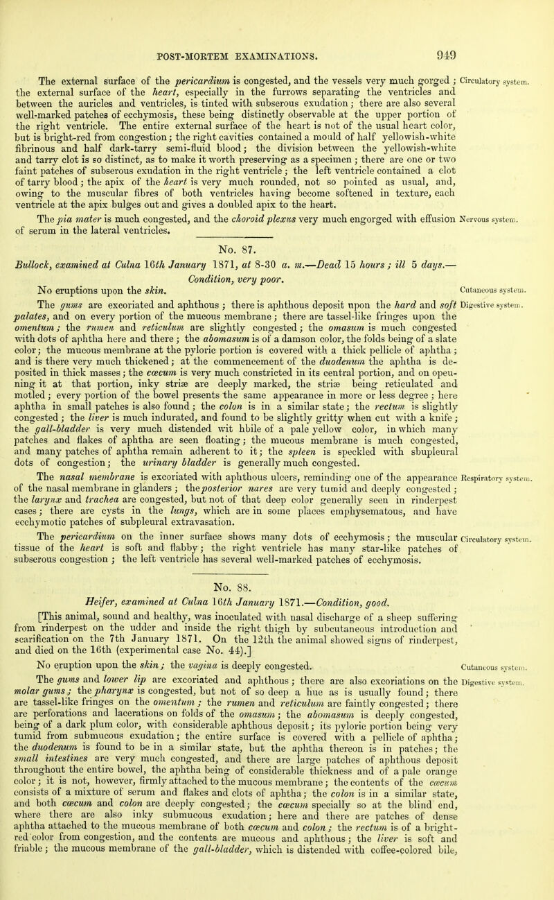The external surface of the pericardium is congested, and the vessels very much gorged ; Circulatory system, the external surface of the heart, especially in the furrows separating the ventricles and between the auricles and ventricles, is tinted with subserous exudation; there are also several well-marked patches of ecchymosis, these being distinctly observable at the upper portion of the right ventricle. The entire external surface of the heart is not of the usual heart color, but is bright-red from congestion; the right cavities contained a mould of half yellowish-white fibrinous and half dark-tarry semi-fluid blood; the division between the yellowish-white and tarry clot is so distinct, as to make it worth preserving as a specimen ; there are one or two faint patches of subserous exudation in the right ventricle ; the left ventricle contained a clot of tarry blood; the apix of the heart is very much rounded, not so pointed as usual, and, owing to the muscular fibres of both ventricles having become softened in texture, each ventricle at the apix bulges out and gives a doubled apix to the heart. The pia mater is much congested, and the choroid plexus very much engorged with effusion Nervous system, of serum in the lateral ventricles. No. 87. Bullock, examined at Culna IQth January 1871, at 8-30 a. m.—Dead 15 hours ; ill 5 days.— Condition, very poor. No eruptions upon the skin. Cutaneous system. The gums are excoriated and aphthous ; there is aphthous deposit upon the hard and soft Digestive system. palates, and on every portion of the mucous membrane; there are tassel-like fringes upon the omentum; the rumen and reticulum are slightly congested; the omasum is much congested with dots of aphtha here and there ; the abomasum is of a damson color, the folds being of a slate color; the mucous membrane at the pyloric portion is covered with a thick pellicle of aphtha; and is there very much thickened; at the commencement of the duodenum the aphtha is de- posited in thick masses; the caecum is very much constricted in its central portion, and on opeu- ning it at that portion, inky stria? are deeply marked, the striae being reticulated and motled; every portion of the bowel presents the same appearance in more or less degree ; here aphtha in small patches is also found; the colon is in a similar state; the rectum is slightly congested; the liver is much indurated, and found to be slightly gritty when cut with a knife; the gall-bladder is very much distended wit hbile of a pale yellow color, in which many patches and flakes of aphtha are seen floating; the mucous membrane is much congested, and many patches of aphtha remain adherent to it; the spleen is speckled with sbupleural dots of congestion; the urinary bladder is generally much congested. The nasal membrane is excoriated with aphthous ulcers, reminding one of the appearance Respiratory system, of the nasal membrane in glanders ; the posterior nares are very tumid and deeply congested ; the larynx and trachea are congested, but not of that deep color generally seen in rinderpest cases; there are cysts in the lungs, which are in some places emphysematous, and have ecchymotic patches of subpleural extravasation. The pericardium on the inner surface shows many dots of ecchymosis; the muscular circulatory system, tissue of the heart is soft and flabby; the right ventricle has many star-like patches of subserous congestion ; the left ventricle has several well-marked patches of ecchymosis. No. 88. Heifer, examined at Culna IQth January 1871.—Condition, good. [This animal, sound and healthy, was inoculated with nasal discharge of a sheep suffering from rinderpest on the udder and inside the right thigh by subcutaneous introduction and ' scarification on the 7th January 1871. On the 12th the animal showed signs of rinderpest, and died on the 16th (experimental case No. 44).] No eruption upon the skin j the vagina is deeply congested. Cutaneous system. The gums and lower lip are excoriated and aphthous; there are also excoriations on the Digestive system. molar gums ; the pharynx is congested, but not of so deep a hue as is usually found; there are tassel-like fringes on the omentum ; the rumen and reticulum are faintly congested; there are perforations and lacerations on folds of the omasum; the abomasum is deeply congested, being of a dark plum color, with considerable aphthous deposit; its pyloric portion being very tumid from submucous exudation; the entire surface is covered with a pellicle of aphtha; the duodenum is found to be in a similar state, but the aphtha thereon is in patches; the small intestines are very much congested, and there are large patches of aphthous deposit throughout the entire bowel, the aphtha being of considerable thickness and of a pale orange color ; it is not, however, firmly attached to the mucous membrane; the contents of the ccecum consists of a mixture of serum and flakes and clots of aphtha; the colon is in a similar state, and both coecum and colon are deeply congested; the ccecum specially so at the blind end, where there are also inky submucous exudation; here and there are patches of dense aphtha attached to the mucous membrane of both ccecum and colon; the rectum is of a bright- red color from congestion, and the contents are mucous and aphthous; the liver is soft and friable; the mucous membrane of the gall-bladder, which is distended with coffee-colored bile,