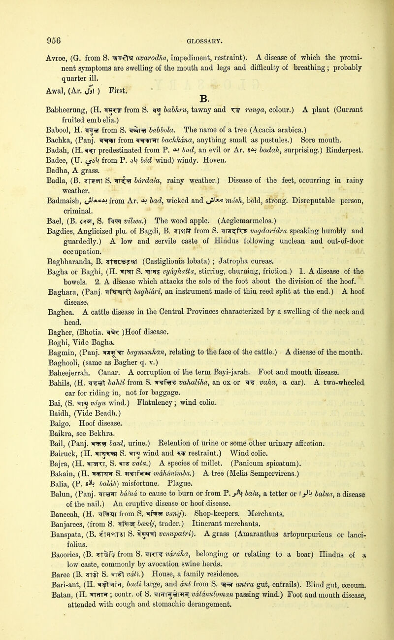 Avroe, (G. from S. ^fte avarodha, impediment, restraint). A disease of which the promi- nent symptoms are swelling of the mouth and legs and difficulty of breathing; probably quarter ill. Awal, (Ar. jjl ) First. B. Babheerung, (H. n^xT- from S. ^ babhru, tawny and T¥ ranga, colour.) A plant (Currant fruited embelia.) Babool, H. ^n$r from S. *rwr^f babbola. The name of a tree (Acacia arabica.) Bachka, (Panj. from ^^fTTT baclikana, anything small as pustules.) Sore mouth. Badah, (H. predestinated from P. bad, an evil or Ar. s<^> badah, surprising.) Rinderpest. Badee, (U. from P. ^ bad wind) windy. Hoven. Badha, A grass. Badla, (B. *TW»n S. *tt^*t bdrdala, rainy weather.) Disease of the feet, occurring in rainy weather. Badmaish, ^l**.^ from Ar. <w bad, wicked and ^fil** mdsh, bold, strong. Disreputable person, criminal. Bael, (B. czmf S. fa^f vilwa.) The wood apple. (Aeglemarmelos.) Bagdies, Anglicized plu. of Bagdi, B. ^T*ff^ from S. srR^fnr vagdaridra speaking humbly and guardedly.) A low and servile caste of Hindus following unclean and out-of-door occupation. Bagbharanda, B. ^T*nr5?r?a1 (Oastiglionia lobata) ; Jatropha cureas. Bagha or Baghi, (H. w S. ^rref vydghatta, stirring, churning, friction.) 1. A disease of the bowels. 2. A disease which attacks the sole of the foot about the division of the hoof. Baghara, (Panj. ^f^Tft baghiari, an instrument made of thin reed split at the end.) A hoof disease. Baghea. A cattle disease in the Central Provinces characterized by a swelling of the neck and head. Bagher, (Bhotia. )Hoof disease. Boghi, Vide Bagha. Bagmin, (Panj. ^i^^r bagmunhan, relating to the face of the cattle.) A disease of the mouth. Baghooli, (same as Bagher q. v.) Baheejerrah. Canar. A corruption of the term Bayi-jarah. Foot and mouth disease. Bahils, (H. *r^t bahli from S. T^f^rs vahaliha, an ox or vaha, a car). A two-wheeled car for riding in, not for baggage. Bai, (S. *rpq vdyu wind.) Flatulency; wind colic. Baidh, (Yicle Beadh.) Baigo. Hoof disease. Baikra, see Bekhra. Bail, (Panj. «P3>^t baid, urine.) Betention of urine or some other urinary affection. Bairuck, (H. srrwsi S. wind and restraint.) Wind colic. Bajra, (H. ^rsrn, S. «trc vata.) A species of millet. (Panicum spicatum). Bakain, (H. ^*i*r*f S. ^Tf^nsr mdhunimba.) A tree (Melia Sempervirens.) Balia, (P. s^i balak) misfortune. Plague. Balun, (Panj. ■stt^tt bahid to cause to burn or from P.y* balu, a tetter or Ibalua, a disease of the nail.) An eruptive disease or hoof disease. Baneeah, (H. ^fw from S. *ffw vanij). Shop-keepers. Merchants. Banjarees, (from S. ^fwoi banij, trader.) Itinerant merchants. Banspata, (B. ?TR*iT3l S. ^T^rt venupatri). A grass (Amaranthus artopurpurieus or lanci- folius. Baoories, (B. ^t^fs from S. ^kt^ vdrdha, belonging or relating to a boar) Hindus of a low caste, commonly by avocation swine herds. Baree (B. ^ivst S. ^T#t vdtt.) House, a family residence. Bari-ant, (H. •q^ft^fw, badi large, and ant from S. antra gut, entrails). Blind gut, ccecum. Batan, (H. irar* ; contr. of S. ^rar^wr vatmuloman passing wind.) Foot and mouth disease, attended with cough and stomachic derangement.