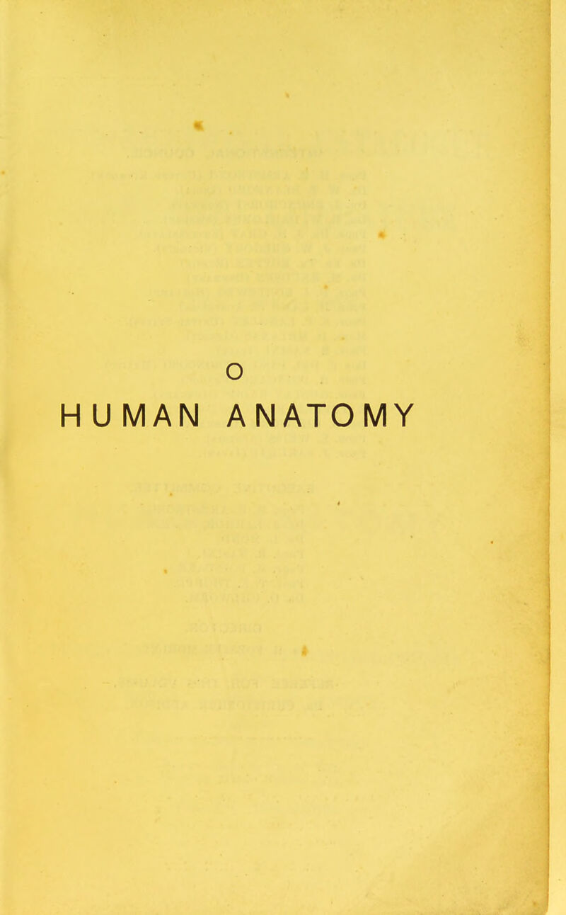 o HUMAN ANATOMY t