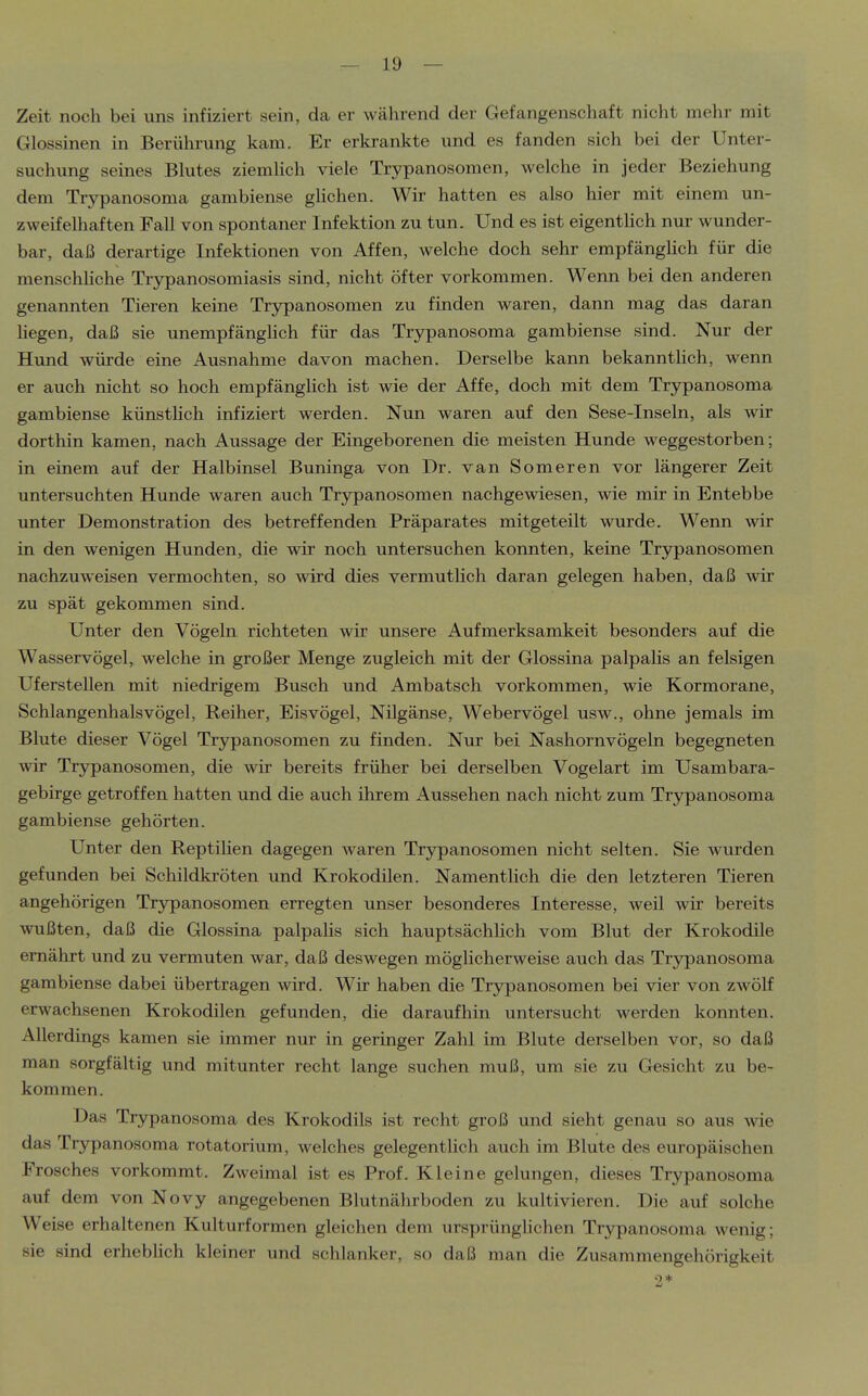 Zeit noch bei uns infiziert sein, da er während der Gefangenschaft nicht mehr mit Glossinen in Berührung kam. Er erkrankte und es fanden sich bei der Unter- suchung seines Blutes ziemHch viele Trypanosomen, welche in jeder Beziehung dem Trypanosoma gambiense ghchen. Wir hatten es also hier mit einem un- zweifelhaften Fall von spontaner Infektion zu tun. Und es ist eigenthch nur wunder- bar, daß derartige Infektionen von Affen, welche doch sehr empfänghch für die menschhche Trjrpanosomiasis sind, nicht öfter vorkommen. Wenn bei den anderen genannten Tieren keine Trypanosomen zu finden waren, dann mag das daran liegen, daß sie unempfänghch für das Trypanosoma gambiense sind. Nur der Hund würde eine Ausnahme davon machen. Derselbe kann bekanntlich, wenn er auch nicht so hoch empfänglich ist wie der Affe, doch mit dem Trypanosoma gambiense künsthch infiziert werden. Nun waren auf den Sese-Inseln, als wir dorthin kamen, nach Aussage der Eingeborenen die meisten Hunde weggestorben; in einem auf der Halbinsel Buninga von Dr. van Someren vor längerer Zeit untersuchten Hunde waren auch Trypanosomen nachgewiesen, wie mir in Entebbe unter Demonstration des betreffenden Präparates mitgeteilt wurde. Wenn wir in den wenigen Hunden, die wir noch untersuchen konnten, keine Trypanosomen nachzuweisen vermochten, so wird dies vermutlich daran gelegen haben, daß wir zu spät gekommen sind. Unter den Vögeln richteten wir unsere Aufmerksamkeit besonders auf die Wasservögel, welche in großer Menge zugleich mit der Glossina palpalis an felsigen Uferstellen mit niedrigem Busch und Ambatsch vorkommen, wie Kormorane, Schlangenhalsvögel, Reiher, Eisvögel, Nilgänse, Webervögel usw., ohne jemals im Blute dieser Vögel Trypanosomen zu finden. Nur bei Nashornvögeln begegneten wir Trypanosomen, die wir bereits früher bei derselben Vogelart im Usambara- gebirge getroffen hatten und die auch ihrem Aussehen nach nicht zum Trjrpanosoma gambiense gehörten. Unter den Reptilien dagegen waren Trypanosomen nicht selten. Sie wurden gefunden bei Schildkröten und Krokodilen. Namentlich die den letzteren Tieren angehörigen Tr3rpanosomen erregten unser besonderes Interesse, weil wir bereits wußten, daß die Glossina palpalis sich hauptsächlich vom Blut der Krokodile ernährt und zu vermuten war, daß deswegen möglicherweise auch das Trypanosoma gambiense dabei übertragen Avird. Wir haben die Trjrpanosomen bei vier von zwölf erwachsenen Krokodilen gefunden, die daraufhin untersucht werden konnten. Allerdings kamen sie immer nur in geringer Zahl im Blute derselben vor, so daß man sorgfältig und mitunter recht lange suchen muß, um sie zu Gesicht zu be- kommen. Das Trypanosoma des Krokodils ist recht groß und sieht genau so aus wie das Trypanosoma rotatorium, welches gelegentlich auch im Blute des europäischen Frosches vorkommt. Zweimal ist es Prof. Kleine gelungen, dieses Trypanosoma auf dem von Novy angegebenen Blutnährboden zu kultivieren. Die auf solche Weise erhaltenen Kulturformen gleichen dem ursprünglichen Trypanosoma wenig; sie sind erhebHch kleiner und schlanker, so daß man die Zusammengehörigkeit 2*