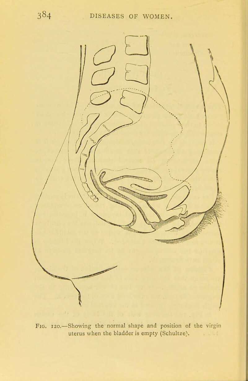 Fig. 120.—Showing the normal shape and position of the virgin uterus when the bladder is empty (Schultze).