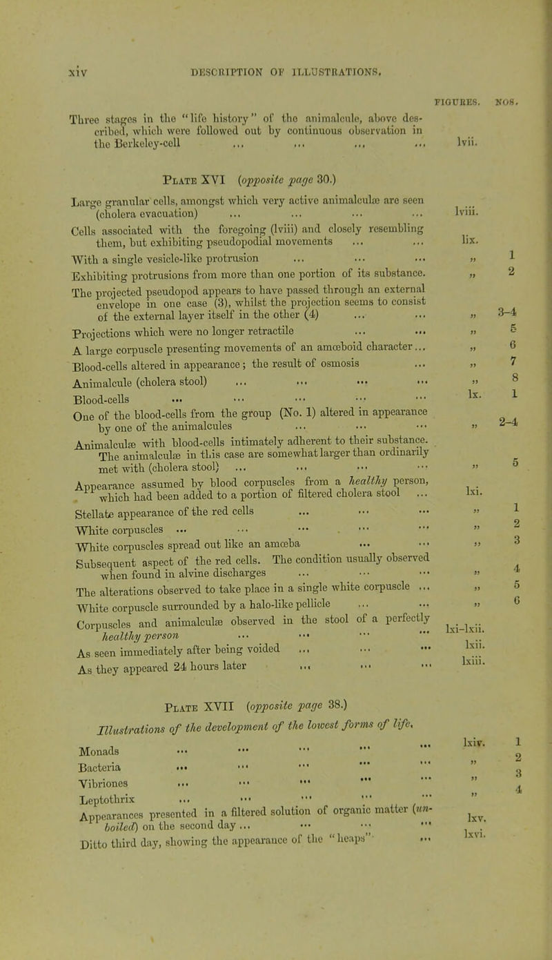 Three stages in the life history of the animalcule, ahove des- cribed, which were followed out by continuous observation in the Berkoley-coU Plate XVI (opposite paye 30.) Large granular cells, amongst which very active animalcule are seen (cholera evacuation) Cells associated with the foregoing (Iviii) and closely resembling them, but exhibiting pseudopodial movements With a single vesicle-like protrusion Exhibiting protrusions from more than one portion of its substance. The projected pseudopod appears to have passed through an external envelope in one case (3), whilst the projection seems to consist of the external layer itself in the other (4) Projections which were no longer retractile A large corpuscle presenting movements of an amajhoid character... Blood-ceUs altered in appearance; the result of osmosis Animalcule (cholera stool) Blood-cells One of the blood-cells from the group (No. 1) altered in appearance by one of the animalcules AnimalculsB with blood-cells intimately adherent to their substance. The animalculse in this case are somewhat larger than ordmarily met with (cholera stool) Appearance assumed by blood corpuscles from a healthy person, . which had been added to a portion of filtered cholera stool ... Stellate appearance of the red cells White coi-puscles ... White corpuscles spread out like an amceba Subsequent aspect of the red cells. The condition usually observed when found in alvine discharges The alterations observed to take place in a single white coi-puscle ... White corpuscle sun-ounded by a halo-like pellicle Corpuscles and animalculaj observed in the stool of a perfectly healthy person ... ■•• As seen immediately after being voided ... As they appeared 24 hours later Plate XVII (opposite page 38.) Illustrations of the development of the lowest forms of life. Monads Bacteria Vibriones ... ••• * Leptothrix Appearances presented in a filtered solution of organic matter («n- fioi^erf) on the second day ... Ditto third day, showing the appearance of the heaps-