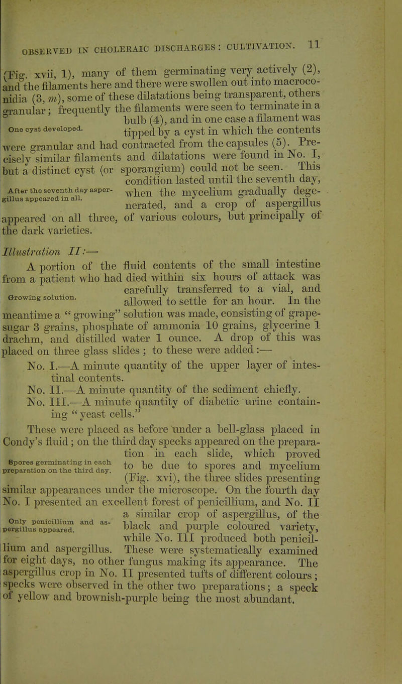 OBSERVED IN CHOLERAIC DISCHARGES : CULTIVATION. 11 rFicv xvii, 1), many of them germinating very actively (2), aucf the filaments here and there were swollen out mto macroco- nidia (3, m), some of these dilatations being transparent, others o-ranular; frequently the filaments were seen to termmate m a ° bulb (4), and in one case a filament was One cyst developed. tipped by a cyst in which the contents were granidar and had contracted from the capsules (5). Pre- cisely similar filaments and dilatations were found in No. I, but a distinct cyst (or sporangium) could not be seen. This condition lasted until the seventh day. After tHe seventh day asper- ^J^gj^ the mVCelium gradually dcgC- giUusappeaxedinall. ^^^^^^^^^^ ^^^^^ ^^^^ aspcrgillus appeared on all three, of various colours, but principally of the dark varieties. Illustration II:— A portion of the fluid contents of the small intestine from a patient who had died within six hours of attack was carefully transferred to a vial, and Growing solution. aUowcd to scttlc for an hour. In the meantime a  growing solution was made, consisting of grape- sugar 3 grains, phosphate of ammonia 10 grains, glycerine 1 drachm, and distilled water 1 ounce. A drop of this was placed on three glass slides ; to these were added :— No. I.—A minute quantity of the upper layer of intes- tinal contents. No. II.—A minute quantity of the sediment cliiefly. No. III.—A minute quantity of diabetic mine contain- ing  yeast cells. These were placed as before under a bell-glass placed in Condy's fluid; on the third day specks appeared on the prepara- tion in each slide, which proved pr?praurnTftheSTa;': to he duc to sporcs and mycelium (Fig, xvi), the three slides presenting similar appearances under tlie microscope. On the fourth day No. I presented an excellent forest of penicfllium, and No. II a similar crop of aspergiUus, of the po°SriusTppe^d. ^lack and pm-ple coloured variety, while No. Ill produced both penicil- lium and aspergiUus. These were systematically examined for eight days, no other fungus making its appearance. The aspergiUus crop in No. II presented tufts of different colours; specks were observed in the other tAvo preparations; a speck of yellow and brownish-purple being the most abundant.