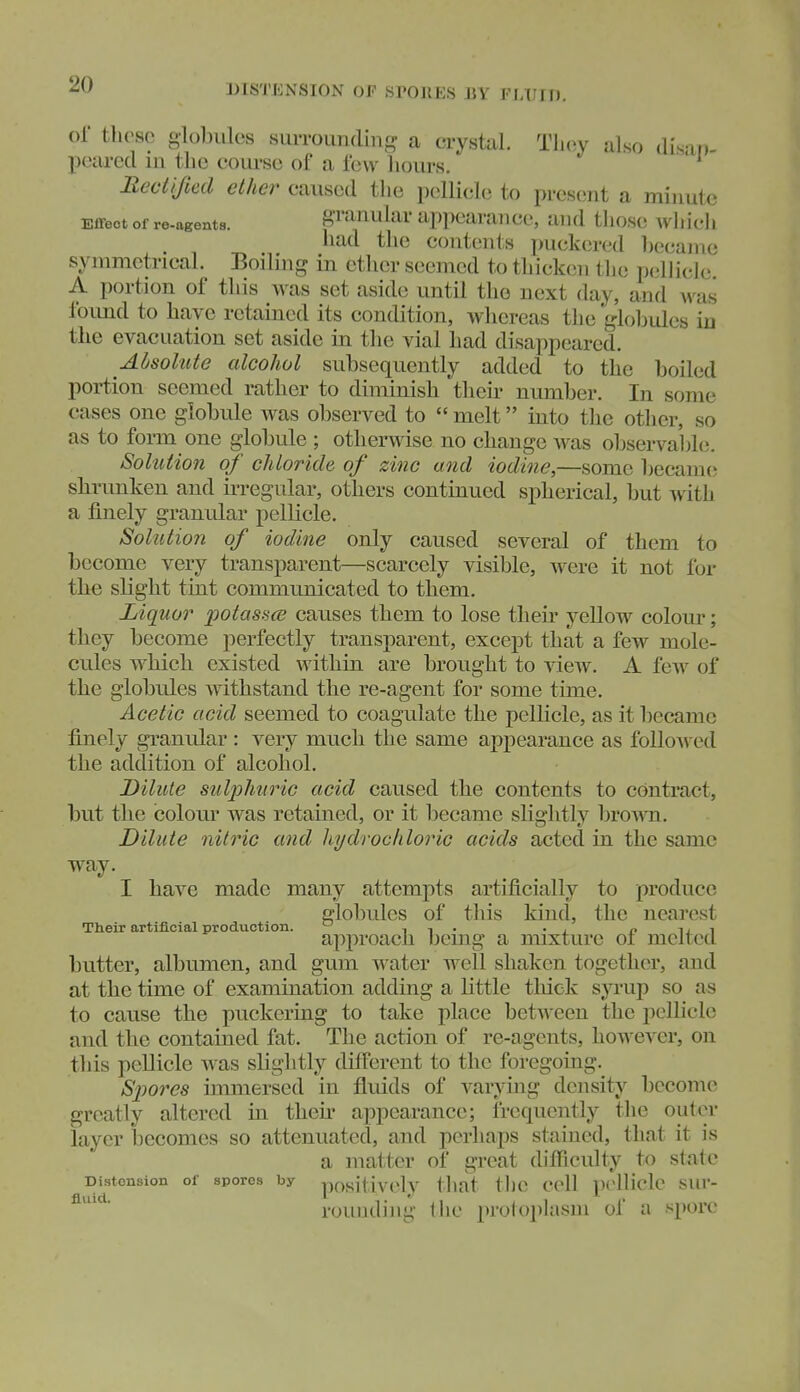 DISTENSION OP SrOllES EY FIJIIT), or these globules suiTOimding a crystal. They also (Ils-u)- pearcd in the course of a lew liours. ' Rectijied ether caused tlie pellicle to present a minute Effect of ro-agents. granular appearance, and tliose which had the contents puckered liecame symmetrical. Boiling in ether seemed to thickcni tlie pellicle. A portion of this was set aside until the next day, and was foimd to have retained its condition, whereas the gloljules in the evacuation set aside in the vial had disappeared. Absolute alcohol subsequently added to the boiled portion seemed rather to diirdnish tlieii- number. In some cases one globule was observed to  melt into the other, so as to form one globule ; otherwise no change was observaljle. Solution of chloride of zinc and iodine,—some became sbrvmken and ii-regular, others continued spberical, but with a finely granular pellicle. Solution of iodine only caused several of them to become very transparent—scarcely visible, were it not for tbe slight tint communicated to them. Liquor 'potasace causes them to lose their yellow colour; they become perfectly transparent, except that a few mole- cules which existed within are brought to view. A few of the globules withstand the re-agent for some time. Acetic acid seemed to coagulate the pelHcle, as it became finely granular : very much the same appearance as foUoAvcd the addition of alcohol. Dilute sulphuric acid caused the contents to contract, but the colour was retamed, or it became slightly brown. Dilute nitric and hydrochloric acids acted in the same way. I have made many attempts artificially to produce globules of this kind, the nearest Their artificial production. ^ i i • • i /• i j i approach being a nuxturc oi melted butter, albumen, and gum water well shaken together, and at the time of examination adding a little thick syrup so as to cause the puckering to take place between the ijellicle and the contained fat. The action of re-agents, however, on this pellicle was slightly different to the foregoing. Spores immersed in fluids of varying density become greatly altered in then* appearance; frequently the outer layer becomes so attenuated, and perhaps stained, that it is a matter of great thfiicnlty to state Distension of spores by positively tliat thc ccll pelHclc sin-- rounding the protoplasm of a spore