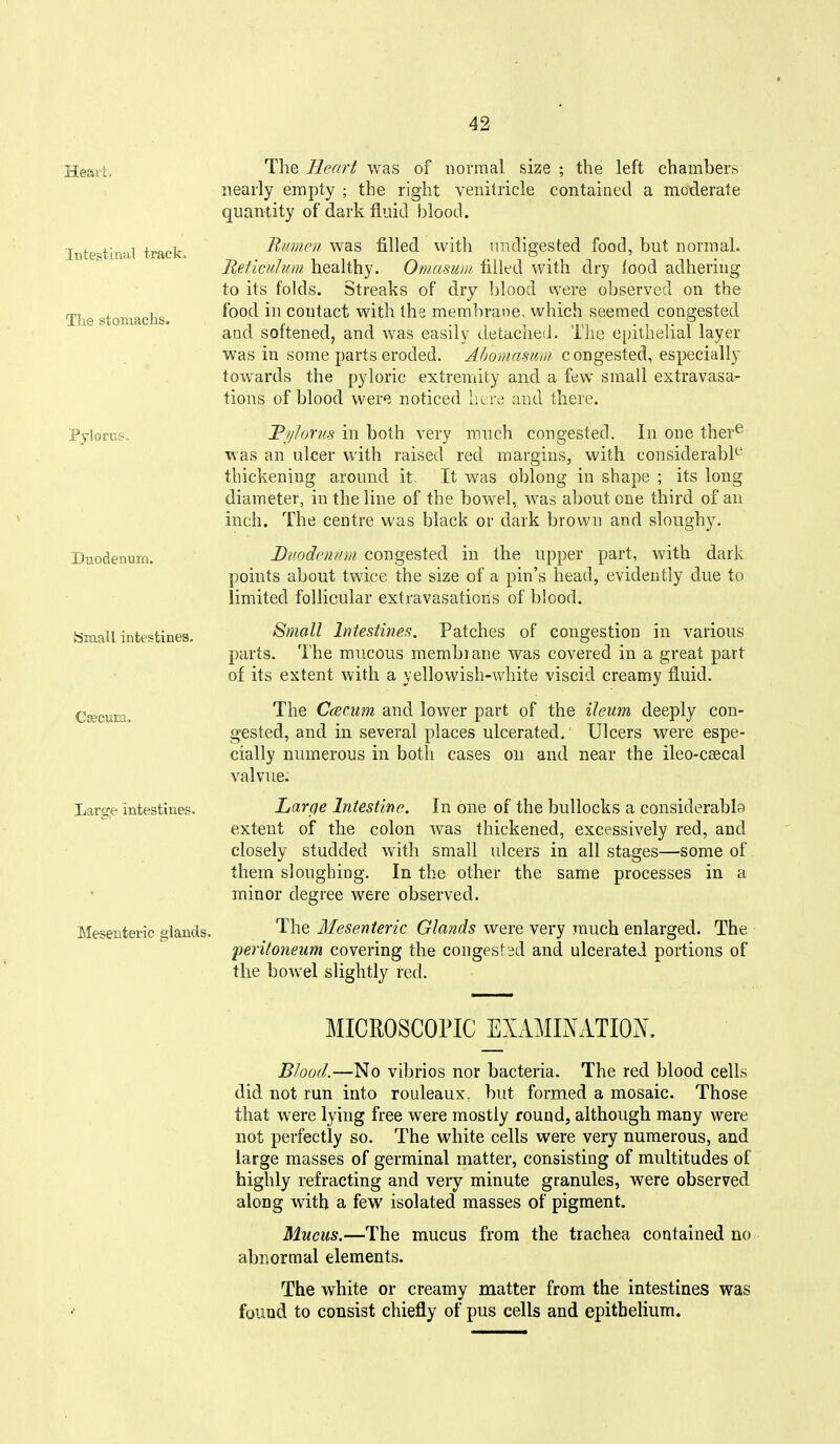 The Heart was of normal size ; the left chambers nearly empty ; the right venitricle contained a moderate quantity of dark fluid blood. Bmnen was filled vvith undigested food, but normal. Beticuluni healthy. Omasum filled vvith dry food adhering to its folds. Streaks of dry blood were observed on the food in contact with the membrane, which seemed congested and softened, and was easily detached. The epithelial layer was in some parts eroded. Ahomasiwi congested, especially towards the pyloric extremity and a few small extravasa- tions of blood were noticed here and there. Fj/Ioriis in both very much congested. In one ther^ was an ulcer vvith raised red margins, with considerabl*^ thickening around it. It was oblong in shape ; its long diameter, in the line of the bowel, was about one third of an inch. The centre was black or dark brown and sloughy. BirodcniDii congested in the upper part, with dark points about twice the size of a pin's head, evidently due to limited follicular extravasations of blood. Small Intestines. Patches of congestion in various parts. The mucous membiane was covered in a great part of its extent with a yellowish-white viscid creamy fluid. The Ccecum and lower part of the ileum deeply con- gested, and in several places ulcerated. Ulcers were espe- cially numerous in both cases on and near the ileo-csecal valvue. Large Intestine. In one of the bullocks a considerabla extent of the colon was thickened, excessively red, and closely studded with small ulcers in all stages—some of them sloughing. In the other the same processes in a minor degree were observed. Mesenteric glands. I'l^e Mesenteric Glmds were very much enlarged. The 'peritoneum covering the congest 3d and ulcerated portions of the bowel slightly red. MICROSCOPIC EXAMINATION. Blood.—No vibrios nor bacteria. The red blood cells did not run into rouleaux, but formed a mosaic. Those that were lying free were mostly round, although many were not perfectly so. The white cells were very numerous, and large masses of germinal matter, consisting of multitudes of highly refracting and very minute granules, were observed along with a few isolated masses of pigment. Mucus.—The mucus from the trachea contained no abnormal elements. The white or creamy matter from the intestines was found to consist chiefly of pus cells and epithelium. Heart. Intestinut track. The stomaclis. Pylorus. Diiodenum. Small intestines. CsecuEi. Large intestines.