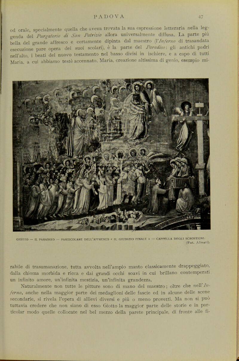 od orate, specialmente quella che aveva trovata la sua espressione letteraria nella leg- genda del Pur«atorio di San Patrizio allora universalmente diffusa. La parte piu bella del grande affresco e certamente dipinta dal maestro 1$Inferno di trasandata esecuzione pare opera dei suoi scolari), e la parte del Paradiso: gli antichi padri nell'alto, i beati del nuovo testamento nel basso divisi in ischiere, e a capo di tutti Maria, a cui abbiamo teste accennato, Maria, creazione altissima di genio, esempio mi- GIOTrO — IL PARADISO — PARTICOLARE DELL'AFFRESCO < IL GIUDIZIO FINALE » — CAPPELLA DEGLI SCROVEGNI. (Fot. Alinari). rabile di trasumanazione, tutta avvolta neH'ampio manto classicamente drappeggiato, dalla chioma morbida e ricca e dai grandi occhi soavi in cui brillano contemperati un infinito amore, un'infinita mestizia, un'infinita grandezza. Naturalmente non tutte le pitture sono di mano del maestro; oltre che nell In- ferno, anche nella maggior parte dei medaglioni delle fascie ed in alcune delle scene secondarie, si rivela l'opera di allievi diversi e piu o meno provetti. Ma non si puo tuttavia credere che non siano di esso Giotto la maggior parte delle storie e in par- ticolar modo quelle collocate nel bel mezzo della parete principale, di fronte alle fi-