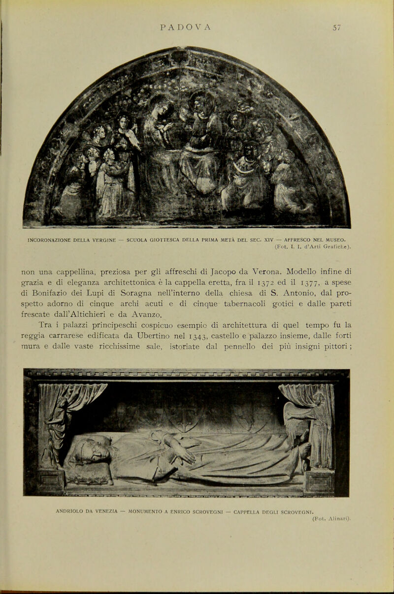 INCORONAZIONE DELLA VERGINE — SCUOLA GIOTTESCA DELLA PRIMA META DEL SEC. XIV — AFFRESCO NEL MUSEO. (Fot. I. I. d'Arti Grafiche). non una cappellina, preziosa per gli affreschi di Jacopo da Verona. Modello infine di grazia e di eleganza architettonica e la cappella eretta, fra il 1372 ed il 1377, a spese di Bonifazio dei Lupi di Soragna neU'interno della chiesa di S. Antonio, dal pro- spetto adorno di cinque archi acuti e di cinque tabernacoli gotici e dalle pareti frescate dalPAltichieri e da Avanzo. Tra i palazzi principeschi cospicuo esempic di architettura di quel tempo fu la reggia carrarese edificata da Ubertino nel 1343, castello e palazzo insieme, dalle forti mura e dalle vaste ricchissime sale, istoriate dal pennello dei piu insigni pittori; (Fot. Alinari).
