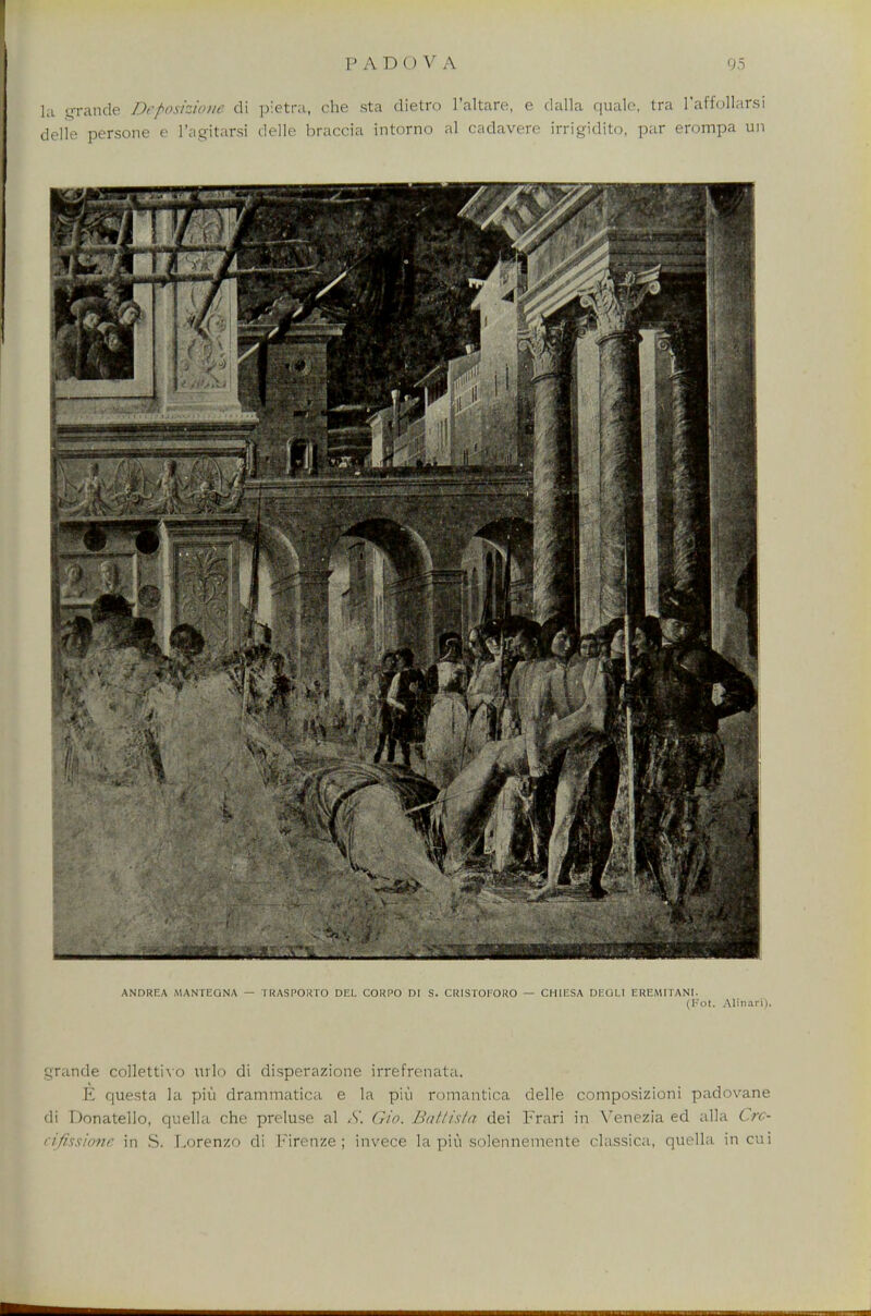 la grande Deposizione di pietra, che sta dietro I'altare, e dalla quale, tra l'affollarsi delle persone e l'agitarsi delle braccia intorno al cadavere irrigidito, par erompa un ANDREA MANTEGNA — TRASI'ORTO DEL CORPO DI S. CRISTOFORO — CHIESA DEGLI EREMIIANI. (Fot. Alinari). grande collettivo urlo di disperazione irrefrenata. E questa la piu drammatica e la piu romantica delle composizioni padovane di Donatello, quella che preluse al S. Gio. Battista dei Frari in \Tenezia ed alia Crc- cifissioite in S. Lorenzo di Firenze ; invece la piu solennemente classica, quella in cui