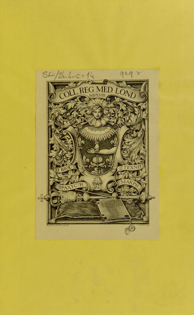 digitised image 3