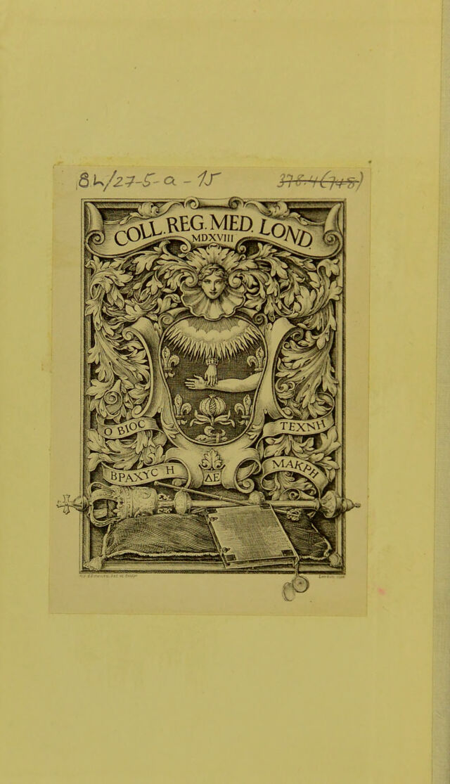 digitised image 2