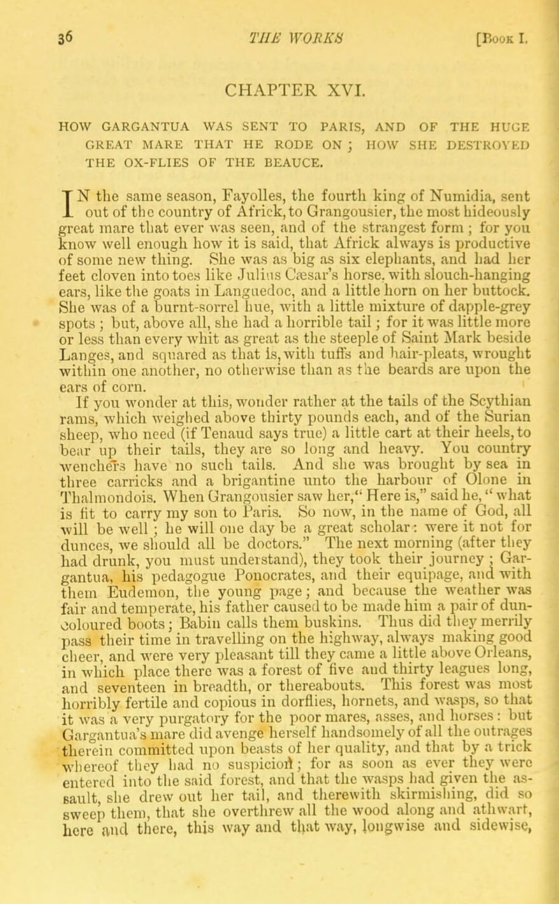 CHAPTER XVI. HOW GARGANTUA WAS SENT TO PARIS, AND OF THE HUGE GREAT MARE THAT HE RODE ON ; HOW SHE DESTROYED THE OX-FLIES OF THE BEAUCE. IN the same season, Fayolles, the fourth king of Numidia, sent out of the country of Af rick, to Grangousier, the most hideously great mare that ever was seen, and of the strangest form ; for you know well enough how it is said, that Africk always is productive of some new thing. She was as big as six elephants, and had her feet cloven into toes like Julius Caesar's horse, with slouch-hanging ears, like the goats in Languedoc, and a little horn on her buttock. She was of a burnt-sorrel hue, with a little mixture of dapple-grey spots ; but, above all, she had a horrible tail; for it was little more or less than every whit as great as the steeple of Saint Mark beside Langes, and squared as that is, with tuffs and hair-pleats, wrought within one another, no otherwise than as the beards are upon the ears of corn. • _ 1 If you wonder at this, wonder rather at the tails of the Scythian rams, which weighed above thirty pounds each, and of the Surian sheep, who need (if Tenaud says true) a little cart at their heels, to bear up their tails, they are so long and heavy. You country ■wencheTs have no such tails. And she was brought by sea in three carricks and a brigantine unto the harbour of Olone in Thalmondois. When Grangousier saw her, Here is, said he, what is fit to carry my son to Paris. So now, in the name of God, all will be well ; he will one day be a great scholar: were it not for dunces, we should all be doctors. The next morning (after tliey had drunk, you must understand), they took their journey : Gar- gantua, his pedagogue Ponocrates, and their equipage, and with them Eudemon, the young page; and because the weather was fair and temperate, his father caused to be made him a pair of dun- eoloured boots; Babin calls them buskins. Thus did they merrily pass their time in travelling on the highway, always making good cheer, and were very pleasant till they came a little above Orleans, in which place there was a forest of five and thirty leagues long, and seventeen in breadth, or thereabouts. This forest was most horribly fertile and copious in dorflies, hornets, and wasps, so that it was a very purgatory for the poor mares, asses, and horses : but Gargantua's mare did avenge herself handsomely of all the outrages therein committed upon beasts of her quality, and that by a trick whereof they had no suspicion*; for as soon as ever they were entered into the said forest, and that the wasps had given the as- sault, she drew out her tail, and therewith skirmishing, did so sweep them, that she overthrew all the wood along and athwart, here and there, this way and that way, longwise and sidewjse,