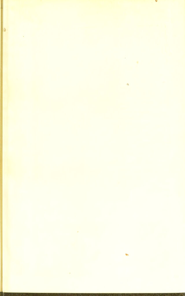 digitised image 3