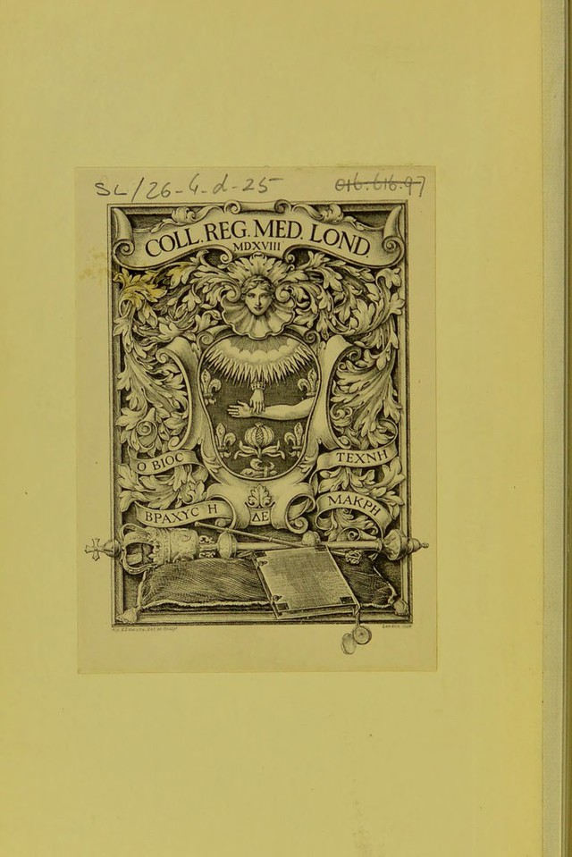 digitised image 2