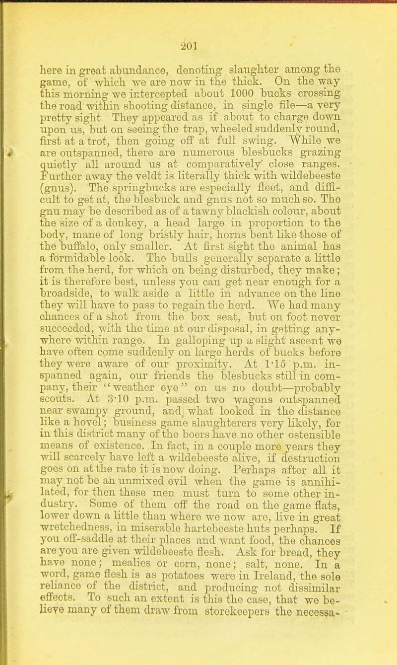 here in gi'eat abundance, denoting slaughter among the game, of -which we are now in the thick. On the way this morning we intercepted about 1000 bucks crossing the road within shooting distance, in single file—a very- pretty sight They appeared as if about to charge down upon us, but on seeing the trap, wheeled suddenly round, first at a trot, then going off at full swing. While we are outspanned, there are numerous blesbucks grazing quietly all around us at comparatively close ranges. Further away the veldt is literally thick -with -wildebeeste (gnus). The springbucks are especially fleet, and diffi- cult to get at, the blesbuck and gnus not so much so. The gnu may be described as of a tawny blackish colour, about the size of a donkey, a head large in jiroportion to the body, mane of long bristly hair, horns bent like those of the buffalo, only smaller. At first sight the animal has a formidable look. The bulls generally separate a little from the herd, for which on being disturbed, they make; it is therefore best, unless you can get near enough for a broadside, to walk aside a little in advance on the line they will have to ]}ass to regain the herd. We had many chances of a shot from the box seat, but on foot never succeeded, with the time at our disposal, in getting any- where -within range. In galloping up a slight ascent we have often come suddenly on large herds of bucks before they were aware of our proximity. At 1 15 p.m. in- spanned again, our friends the blesbucks still in com- pany, theii- weather eye on us no doubt—probably scouts. At 3'10 p.m. passed two wagons outspanned near swampy ground, and.; what looked in the distance like a hovel; business game slaughterers very likely, for in this district many of the boers have no other ostensible means of existence. In fact, in a couj)le more years they will scarcely have left a wildebeeste alive, if destruction goes on at the rate it is now doing. Perhaps after aU it may not be an unmixed e-Til when the game is annihi- lated, for then these men must turn to some other in- dustry. Some of them off the road on the game flats, lower down a little than whore we now are, live in great wretchedness, in miserable hartebcoste huts perhaps. If you off-saddle at their places and want food, the chances are you are given -wildebeeste flesh. Ask for bread, they have none; mealies or corn, none; salt, none. In a word, game flesh is as potatoes were in Ireland, the sole reliance of the district, and producing not dissimilar effects. To such an extent is this the case, that we be- lieve many of them draAv from storekeepers the necessa-