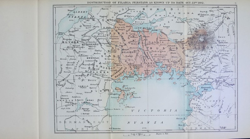 DISTRIBUTION OF FILARIA PERSTANS AS KNOim UP TO DATE OCT.23^ 1902 10 20 30 to 50