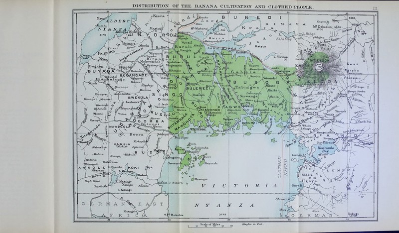 DISTRIBUTIOIS^ OF THE BATfAINA. CTJLTrV^IO^^ ANT) CLOTHED PEOPI£ 20 30 4>0 60