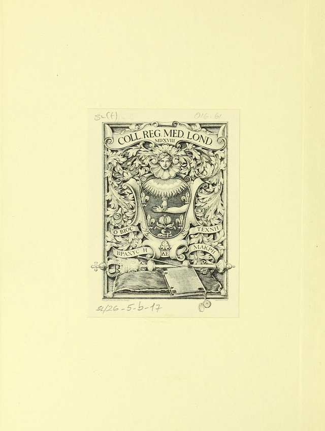 digitised image 2