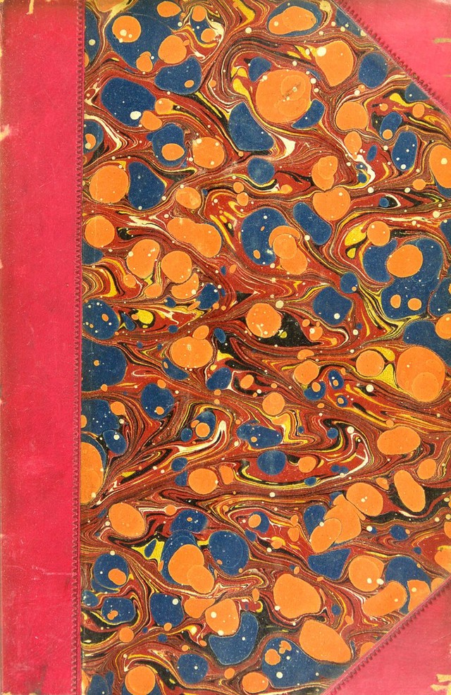 No text description is available for this image