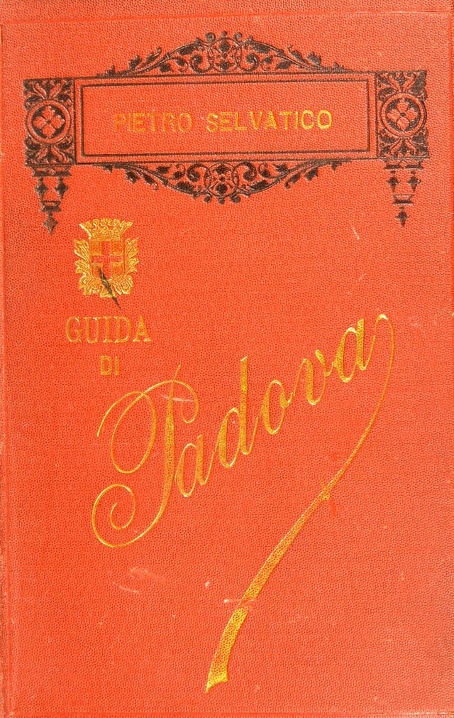 digitised image 1