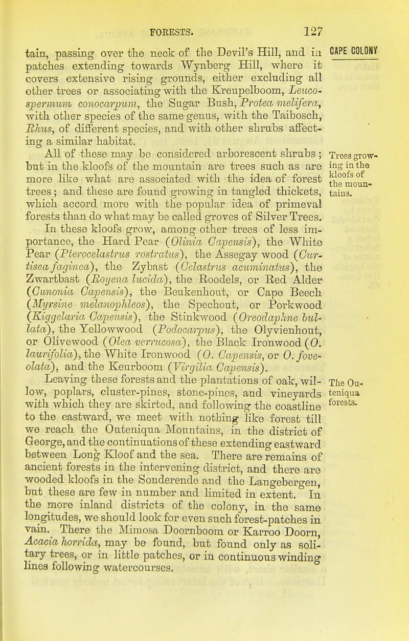 tain, passing over the neck of the Devil's Hill, and ia CAPE COLONY patches extending towai'ds Wynberg Hill, where it covers extensive rising grounds, either excluding all other trees or associating with the Kreupelboom, Leuco- spermum conocarpum, the Sugar Bush, Protea meUfera, with other species of the same genus, with the Taibosch, Bhus, of different species, and with other shrubs affect- insr a similar habitat. All of these may be considered arborescent shrubs ; Trees grow- but in the kloofs of the mountain are trees such as are ing in the more like what are associated with the idea of forest t^e*moim- trees; and these are found growing in tangled thickets, tains, which accord more with the popular idea of primeval forests than do what may be called groves of Silver Trees. In these kloofs grow, among other trees of less im- portance, the Hard Pear (Olinia Gapensis), the White Pear (Pterocelastrus rostratus), the Assegay wood ((7ttr- iiseafaginea), the Zybast (Gelastnis acuminatus), the Zwartbast (Boijena lucida), the Roodels, or Red Alder (Gunonia Gapensis), the Beukenhout, or Cape Beech (Myrsine onelanophleos), the Spechout, or Porkwood (Kiggelaria Gapensis), the Stinkwood (Oreodaphne hul- lata), the Yellowwood {Fodocarpus), the Olyvienhout, or Olivewood {Olea verrucosa), the Black Ironwood (0. laurifolia), the White Ironwood (0. Gapensis, or O.fove- olata), and the Keurboom (Virgilia Gapensis). Leaving these forests and the plantations of oak, wil- The Oa- low, poplars, cluster-pines, stone-pines, and vineyards teniqua with which they are skirted, and following the coastline to the eastward, we meet with nothing like forest till we reach the Outeniqua Mountains, in the district of George, and the continuations of these extending eastward between Long Kloof and the sea. There are remains of ancient forests in the intervening district, and there are wooded kloofs in the Sonderende and the Langebergen, but these are few in number and limited in extent. In the more inland districts of the colony, in the same longitudes, we should look for even such forest-patches in vain.^ There the Mimosa Doornboom or Karroo Doorn, Acacia horrida, may be found, but found only as soli- tary trees, or ia little patches, or in continuous winding lines following watercourses.