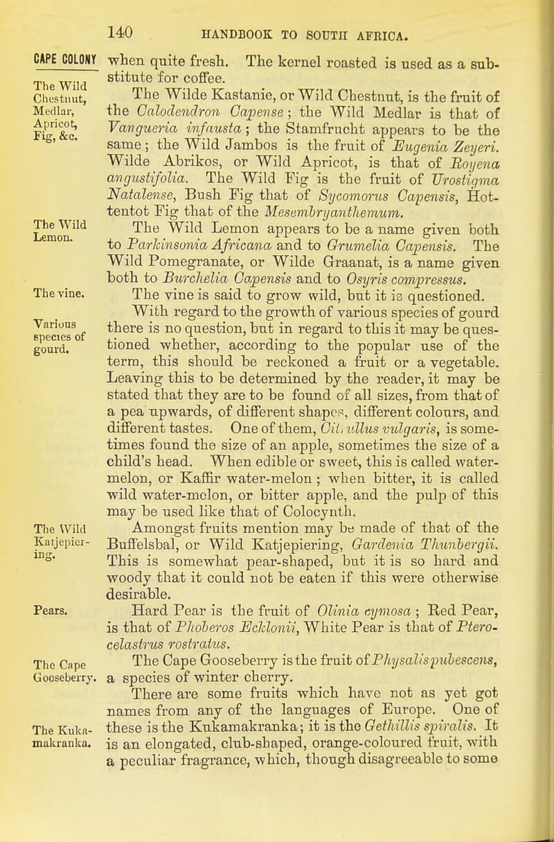 CAPE COLONY The Wild Chestnut, Medlar, Apricot, Fig, &c. The Wild Lemon. The vine. Various Bpecies of gourd. The Wild Kaijepicr- Pears. The Cape Gooseberry. The Kuka- makranka. when quite fresh. The kernel roasted is used as a sub- stitute for coffee. The Wilde Kastanie, or Wild Chestnut, is the fruit of the Calodendron Ga]pense ; the Wild Medlar is that of Vangueria infausta; the Stamfrucht appears to be the same ; the Wild Jambos is the fruit of Eugenia Zeyeri. Wilde Abrikos, or Wild Apricot, is that of Boijena angustifolia. The Wild Fig is the fruit of Urostigma Natalense, Bush Pig that of Sycomorus Capensis, Hot- tentot Fig that of the Mesembnjanthemum. The Wild Lemon appears to be a name given both to ParJcinsonia Africana and to Grumelia Capensis. The Wild Pomegranate, or Wilde Graanat, is a name given both to Burclielia Capensis and to Osyris compressus. The vine is said to grow wild, but it is questioned. With regard to the growth of various species of gourd there is no question, but in regard to this it may be ques- tioned whether, according to the popular use of the term, this should be reckoned a fruit or a vegetable. Leaving this to be determined by the reader, it may be stated that they are to be found of all sizes, from that of a pea upwards, of different shapcp, different colours, and different tastes. One of them, CUj ullus vulgaris, is some- times found the size of an apple, sonietimes the size of a child's head. When edible or sweet, this is called water- melon, or Kaffir water-melon; when bitter, it is called wild water-melon, or bitter apple, and the pulp of this may be used like that of Colocynth. Amongst fruits mention may btj made of that of the Buffelsbal, or Wild Katjepiering, Gardenia Thunbergii. This is somewhat pear-shaped, but it is so hard and woody that it could not be eaten if this were otherwise desirable. Hard Pear is the fruit of Olinia cymosa ; Red Pear, is that of PJioheros Eclclonii, White Pear is that of Ptero- celastrus rostratus. The Cape Gooseberry is the fruit of Physalispuhescens, a species of winter cherry. There are some fruits which have not as yet got names from any of the languages of Europe. One of these is the Kukamakranka; it is the Gethillis sjiiralis. It is an elongated, club-shaped, orange-coloured fruit, with a peculiar fragrance, w hich, though disagreeable to some